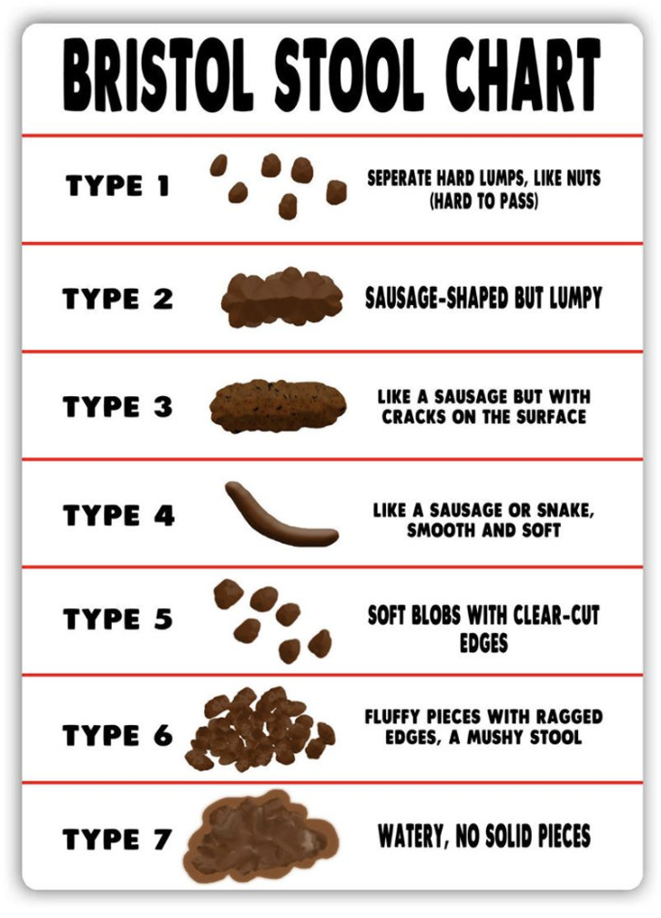 Boston Stool Chart : Bristol stool chart – LNNXD
