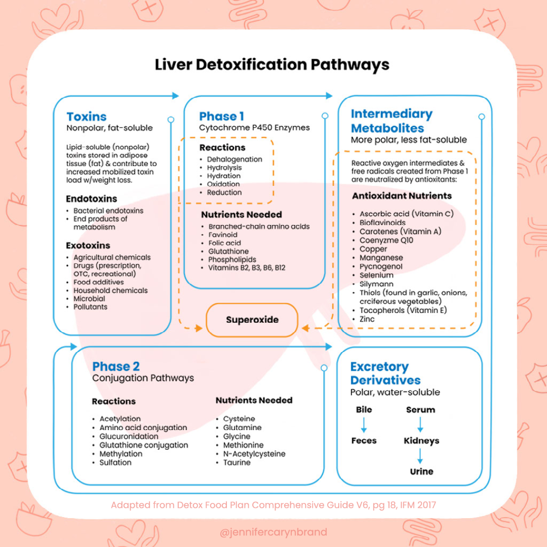 Guide To Eating For Detoxification