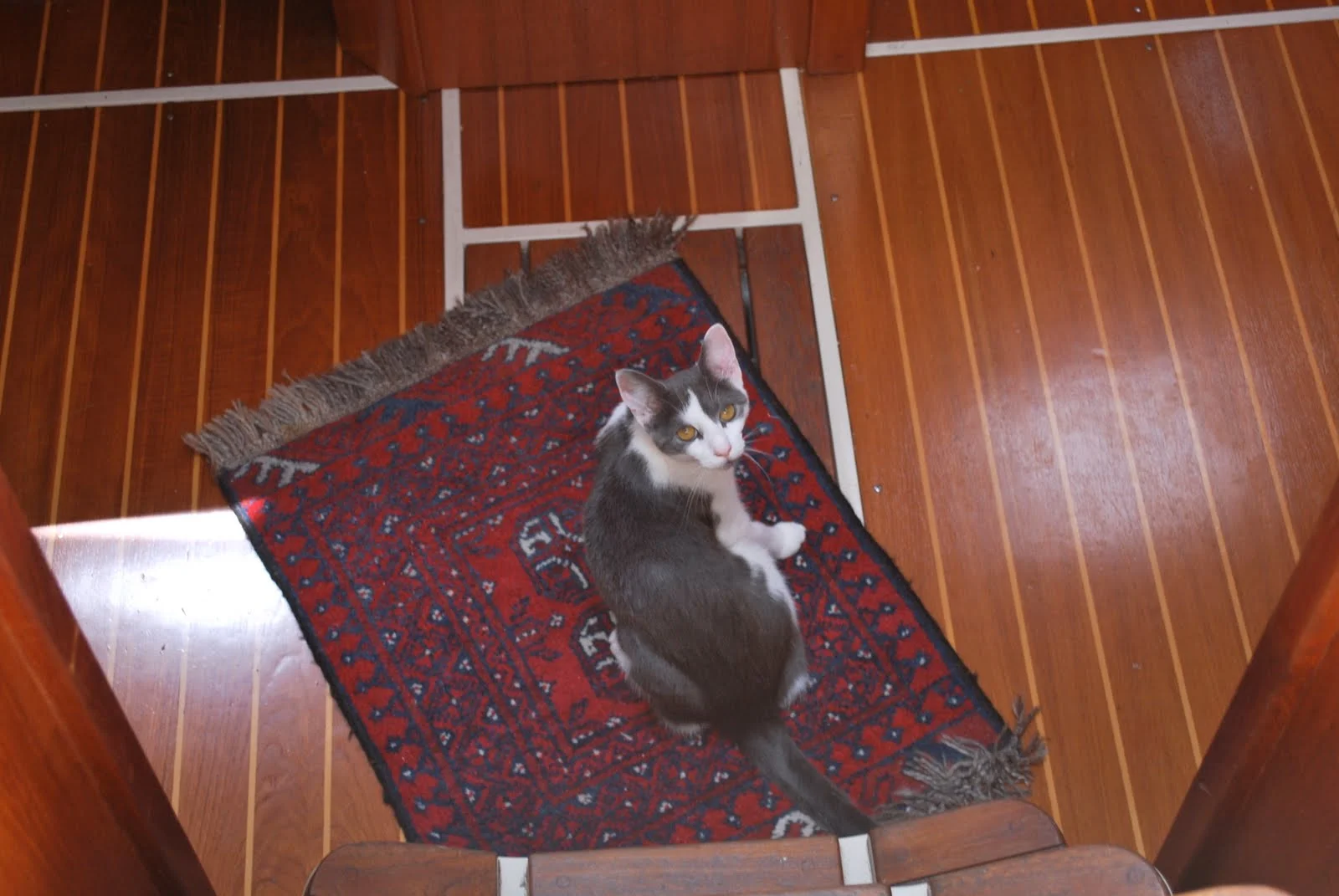 DSC_4784.jpg