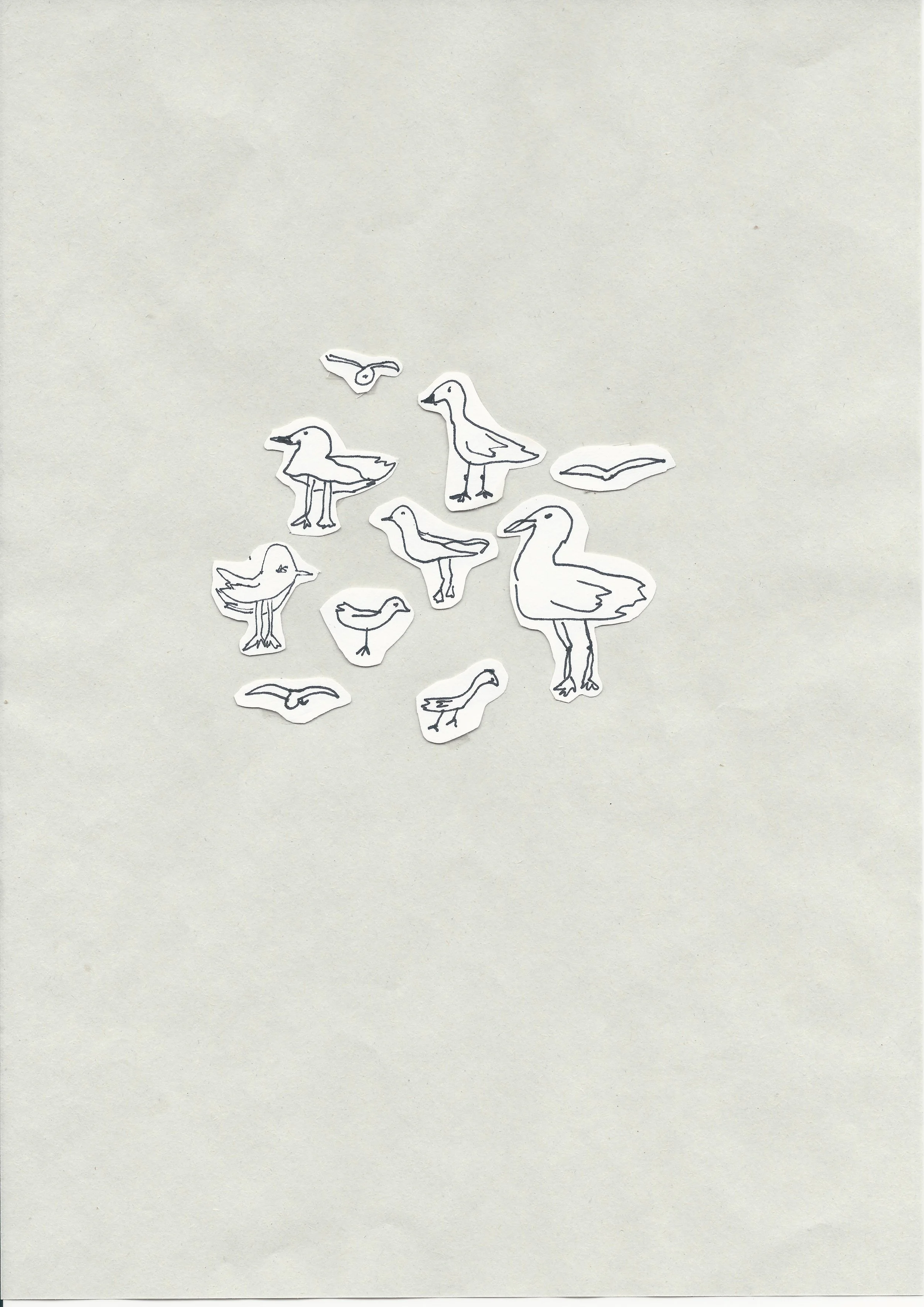 I grouped all the birds together.