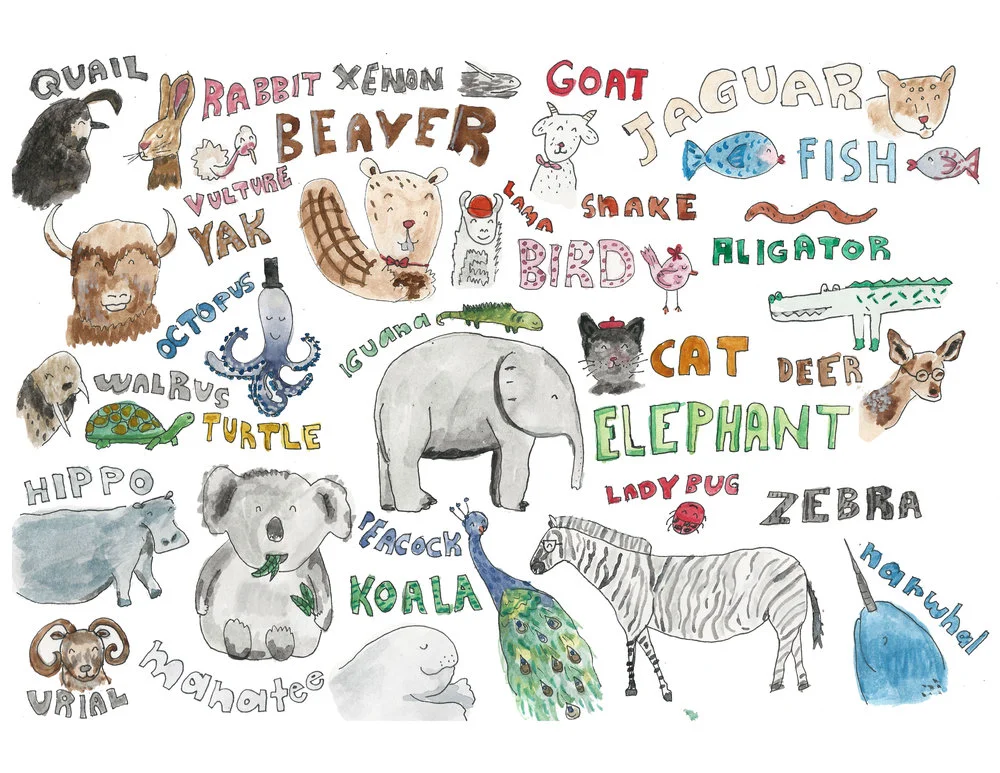 animals-2.jpg