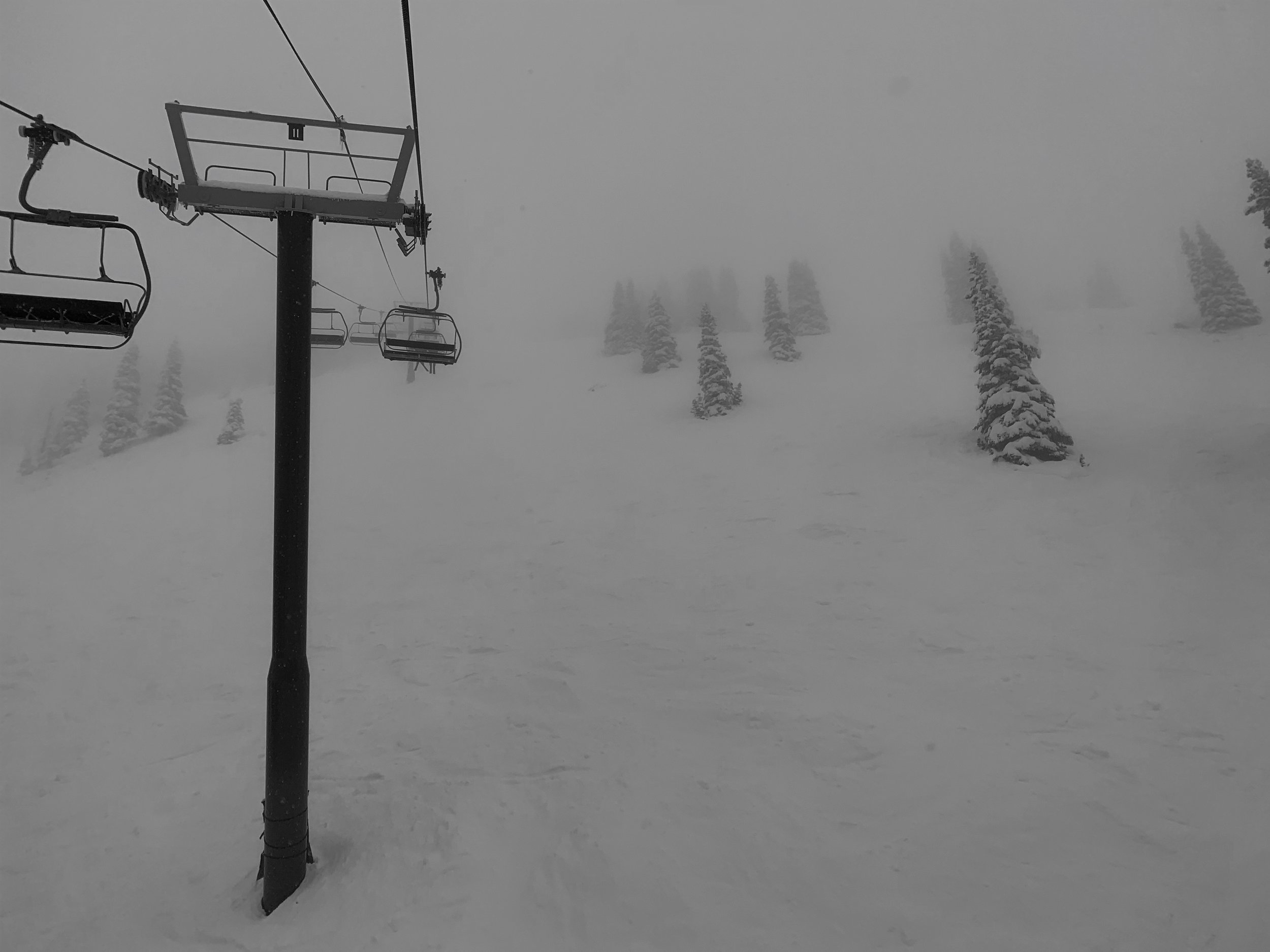 Into the Mist
