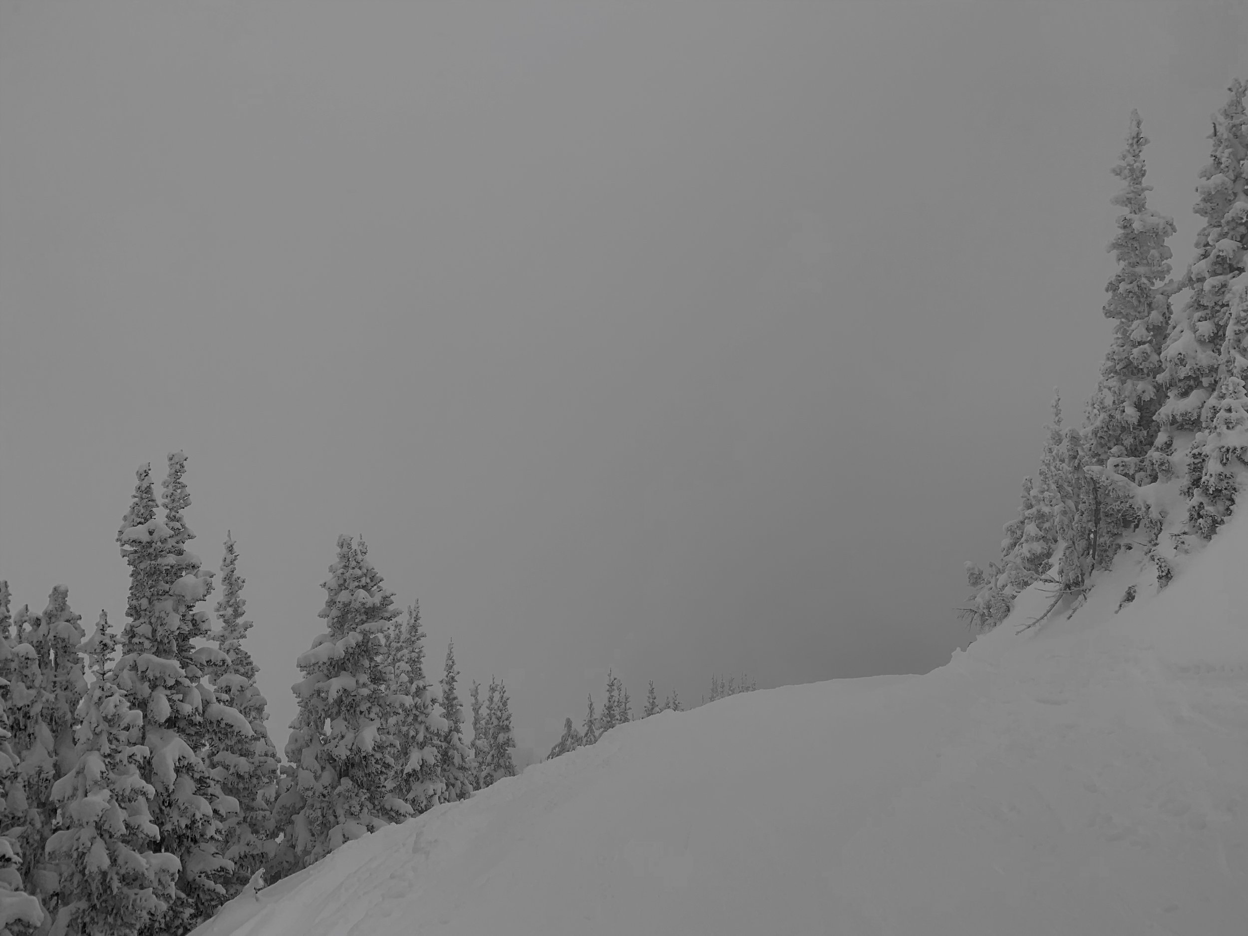 View of Powder Bowl
