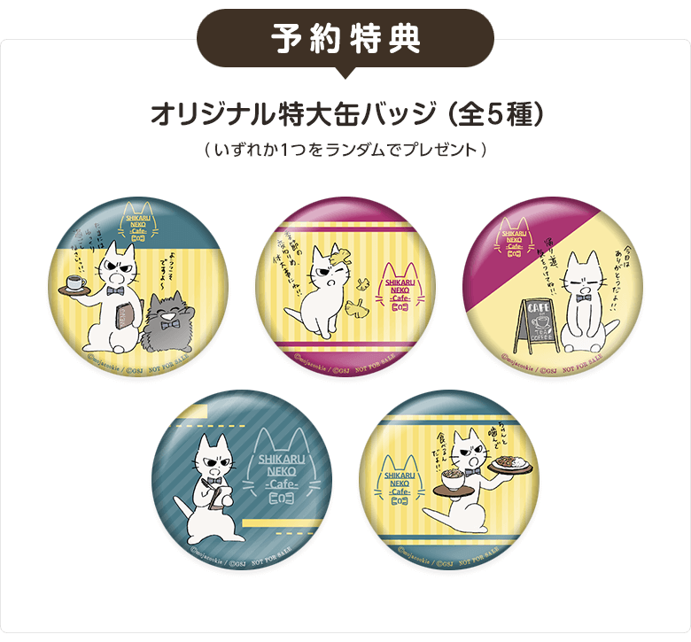 b1875a6e92212758e6cdf42b520fd86e1.png