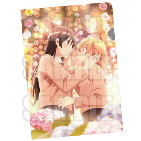 Luncheon Mat Case: ¥500 A3 size clear folder. Perfect for safely keeping your luncheon mat order benefit without folding it up.
