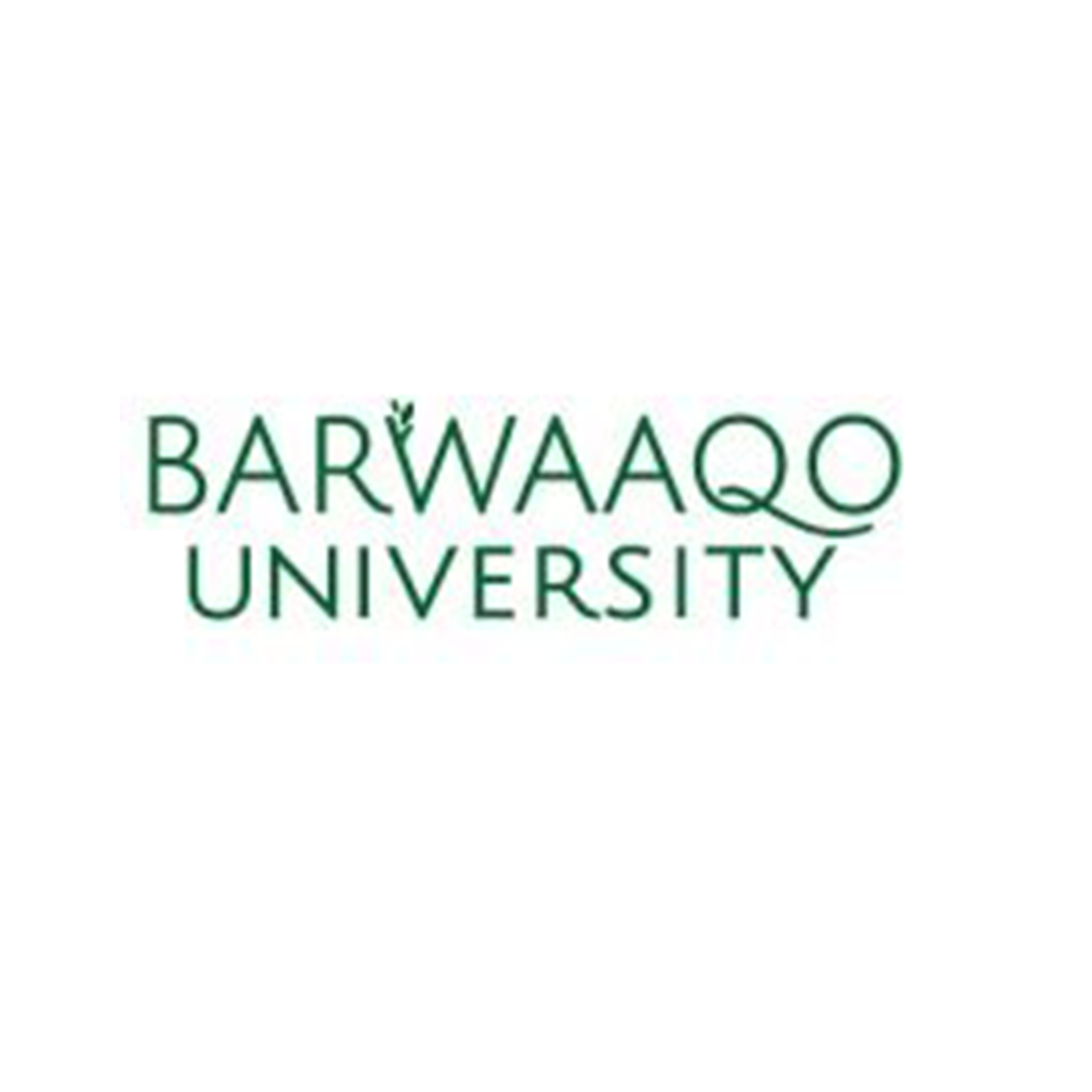 barqaaqo logo.png