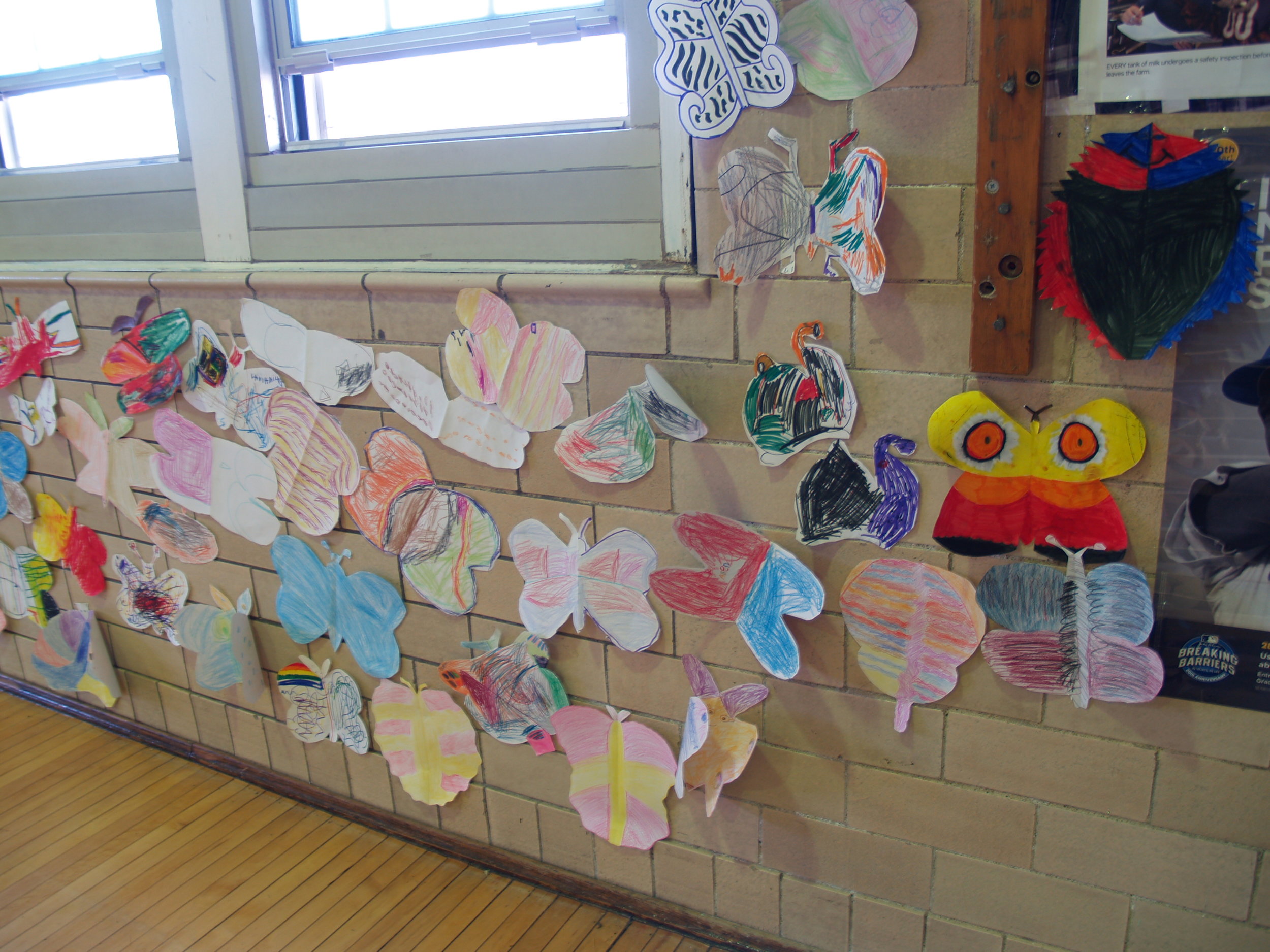 Longfellow kindergarteners and and 6th graders' moth drawings.