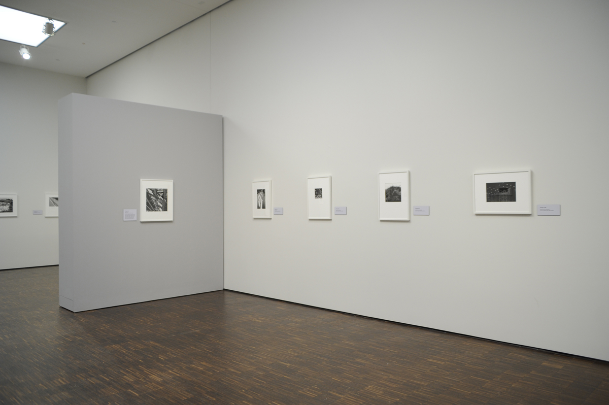 Wit + Whimsy installation view.