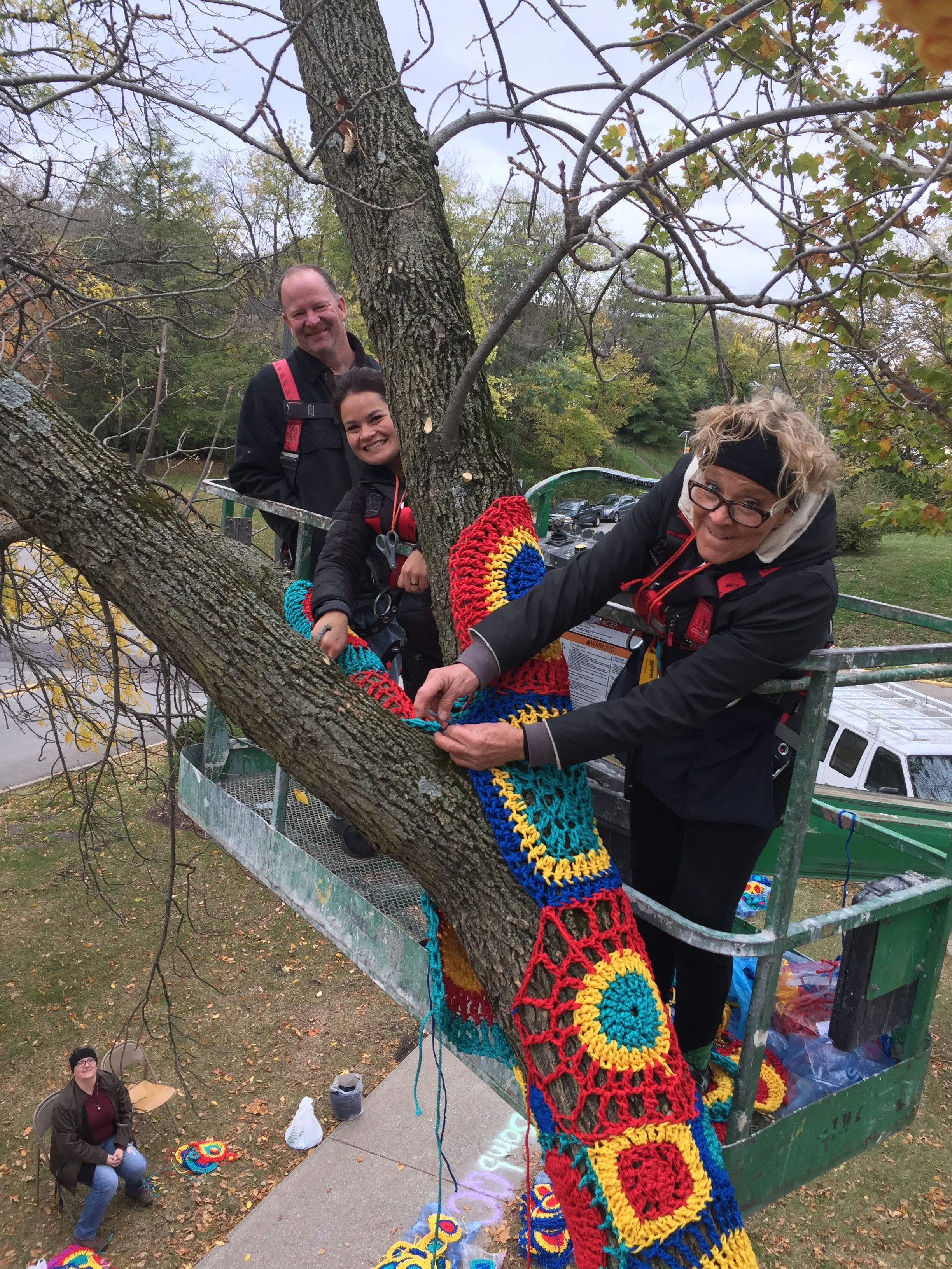 Installation at Augustana (photo courtesy of Molly Sedensky)