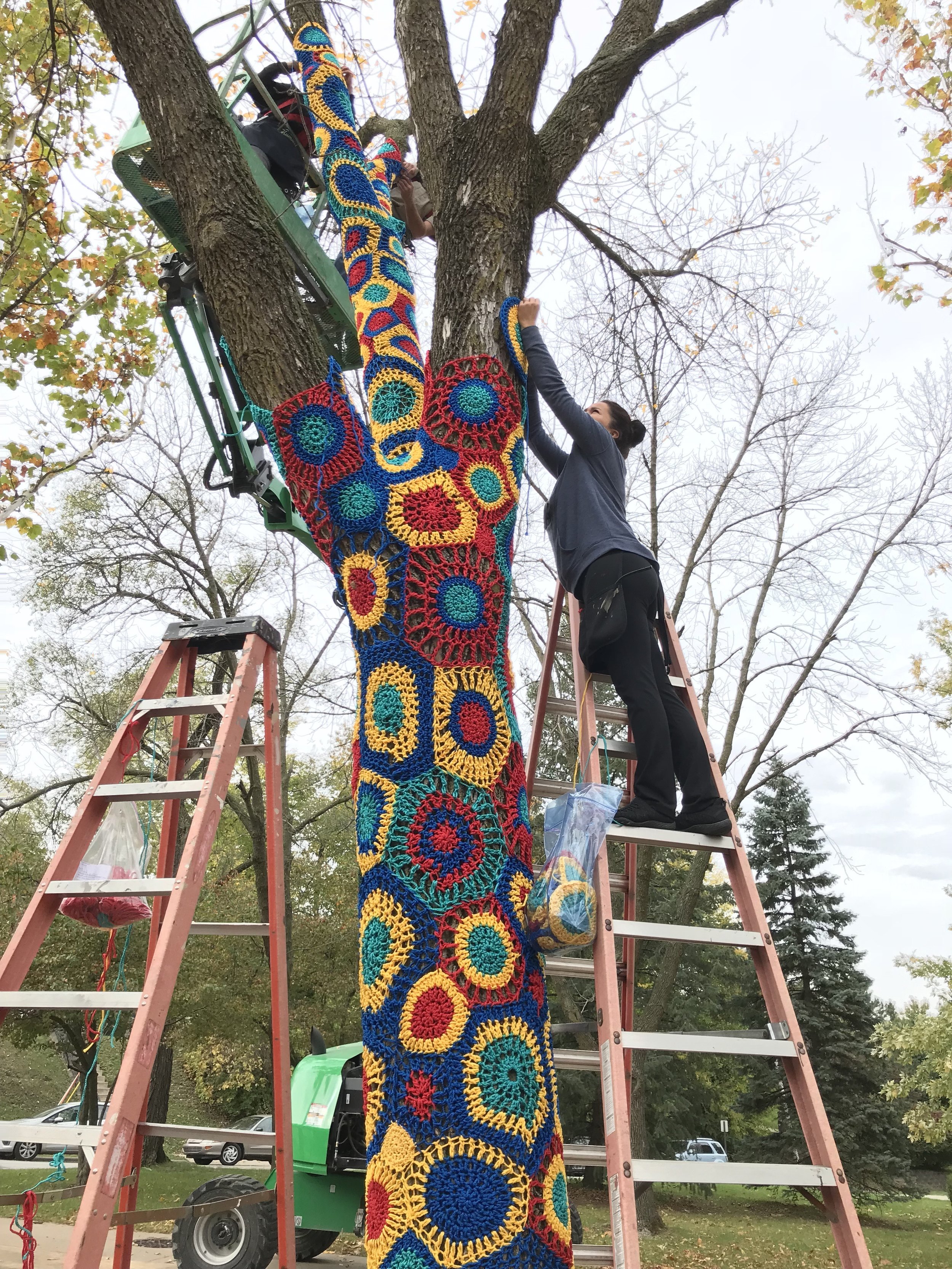 Installation at Augustana College (photo courtesy of Carol Hummel)