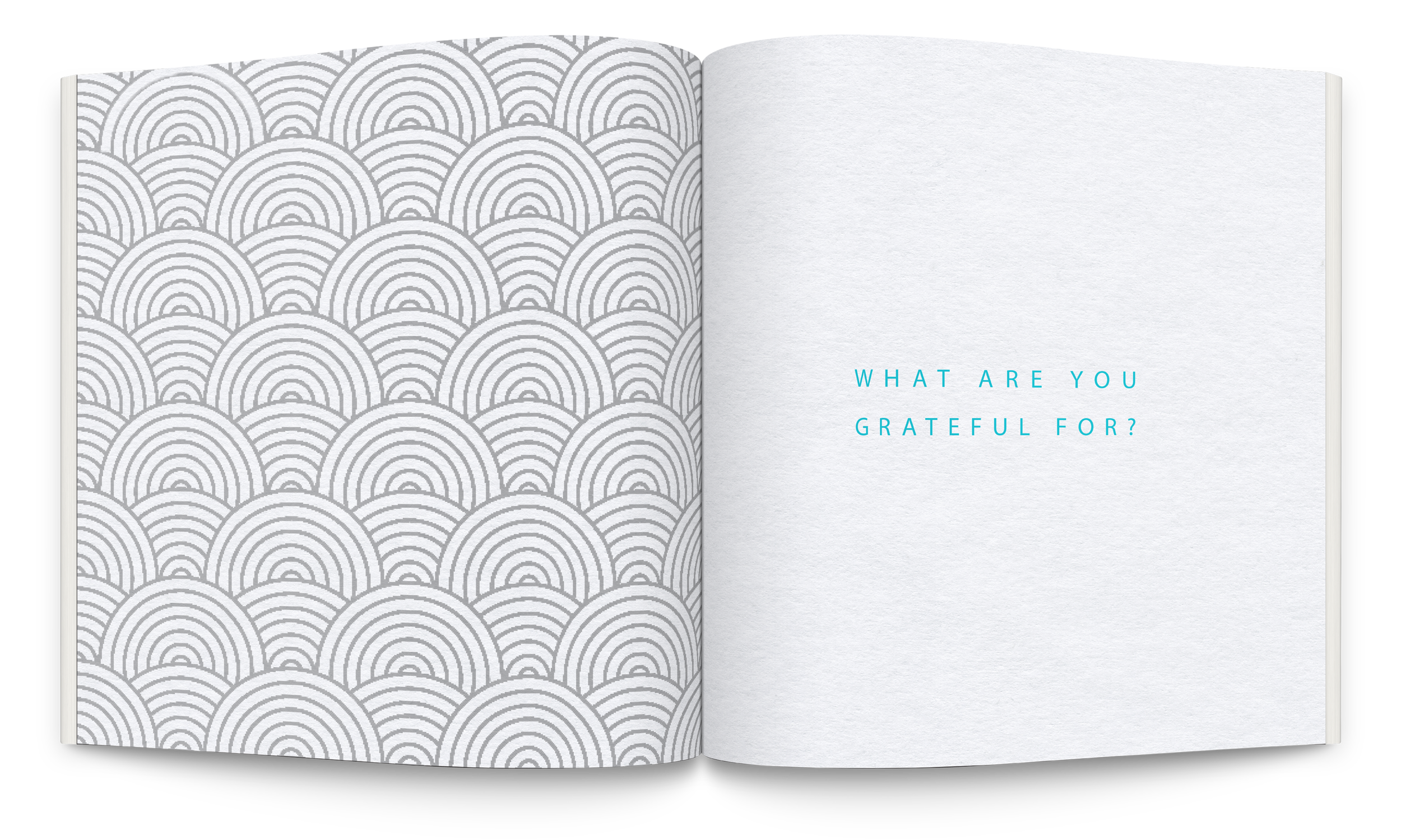 Spread_1 copy.png