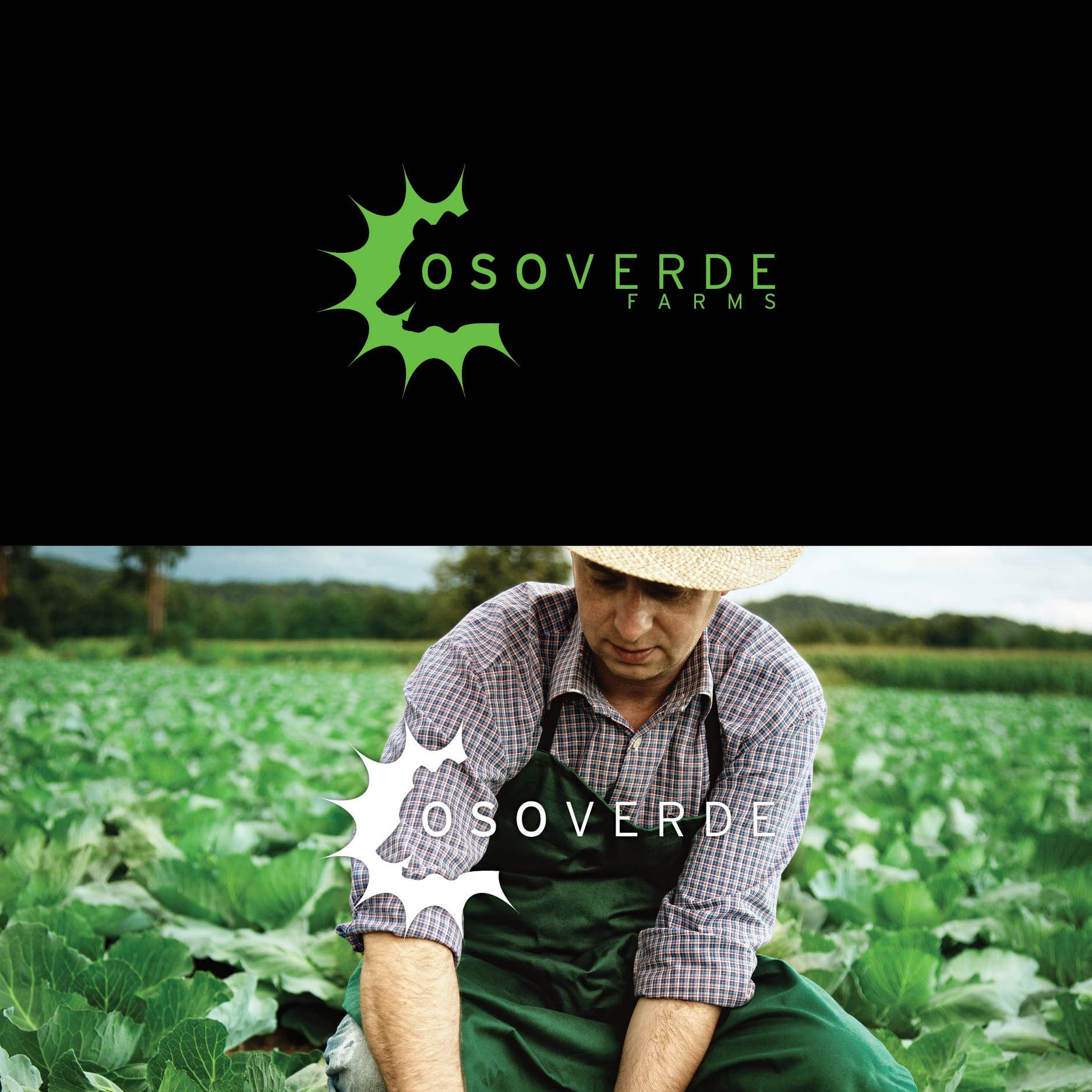 SubsidiaryLogo_Branding_2.png