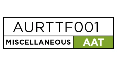 Inspect and service petrol fuel systems