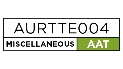 Inspect and service engines