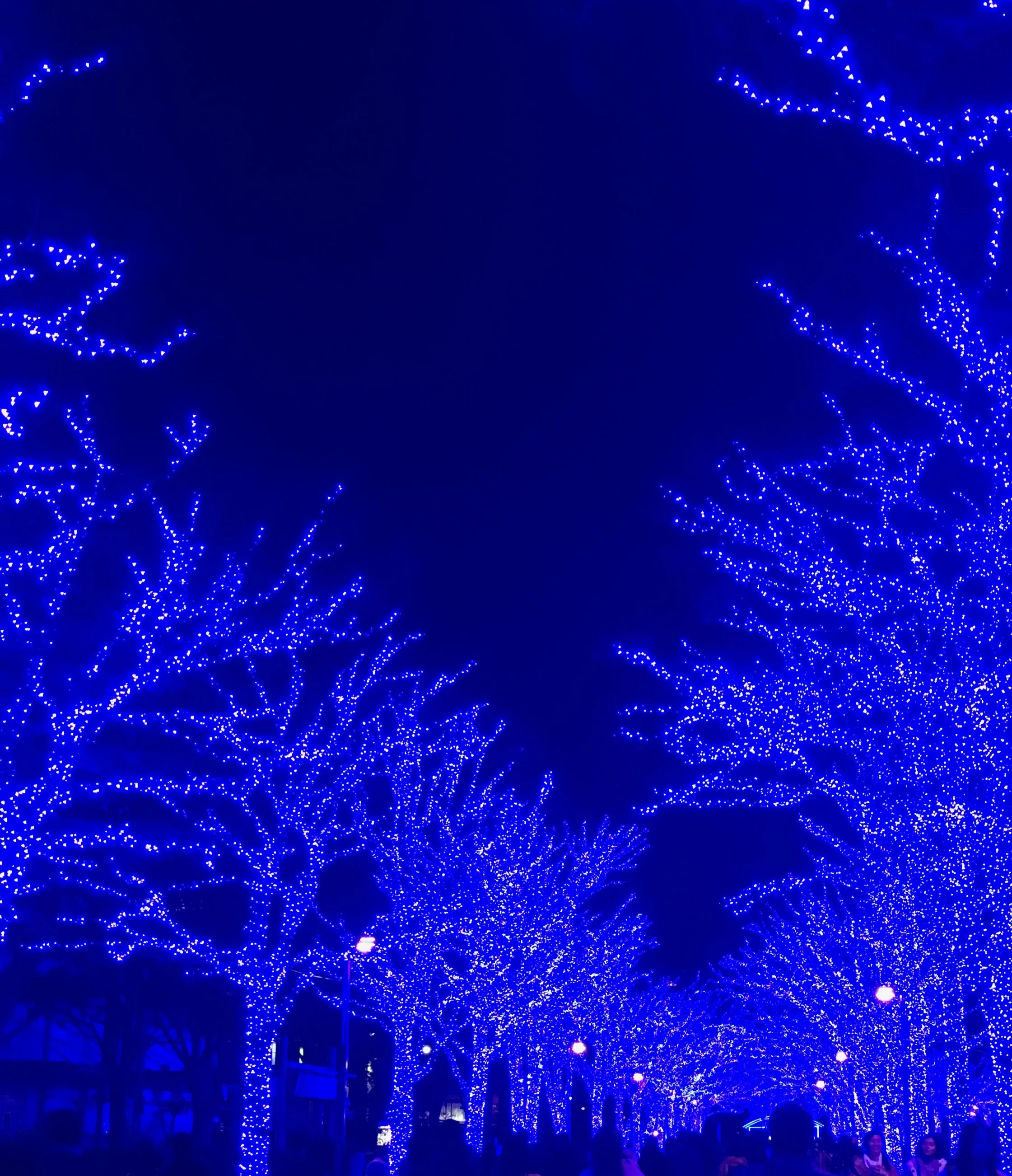 Mindful Holiday Survival Tips
