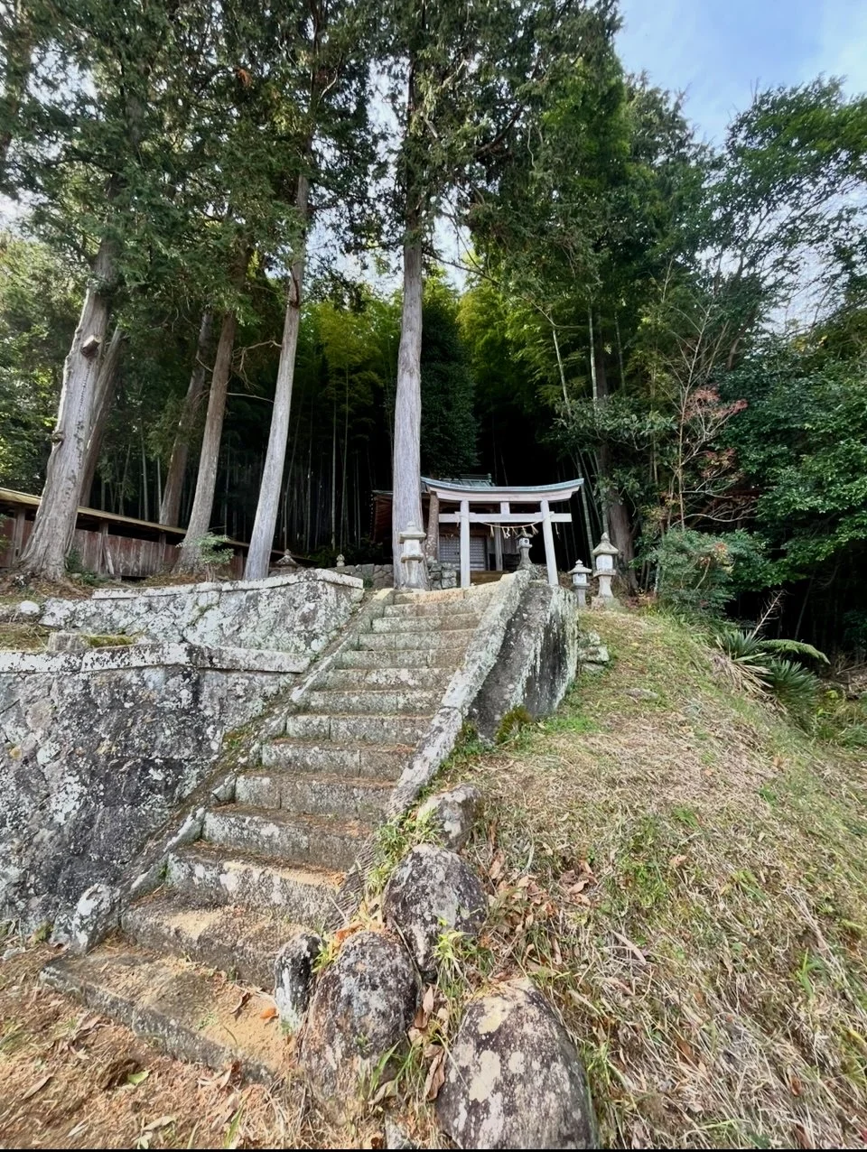 感謝を込めて 新嘗祭    Expressing Gratitude