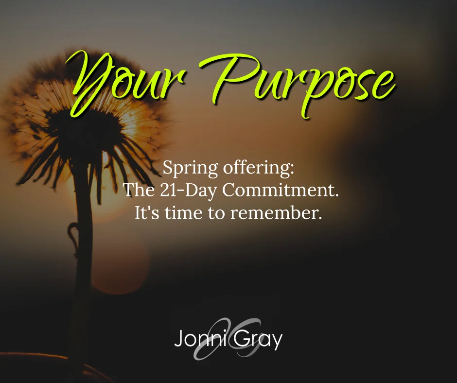 Your Purpose.jpg
