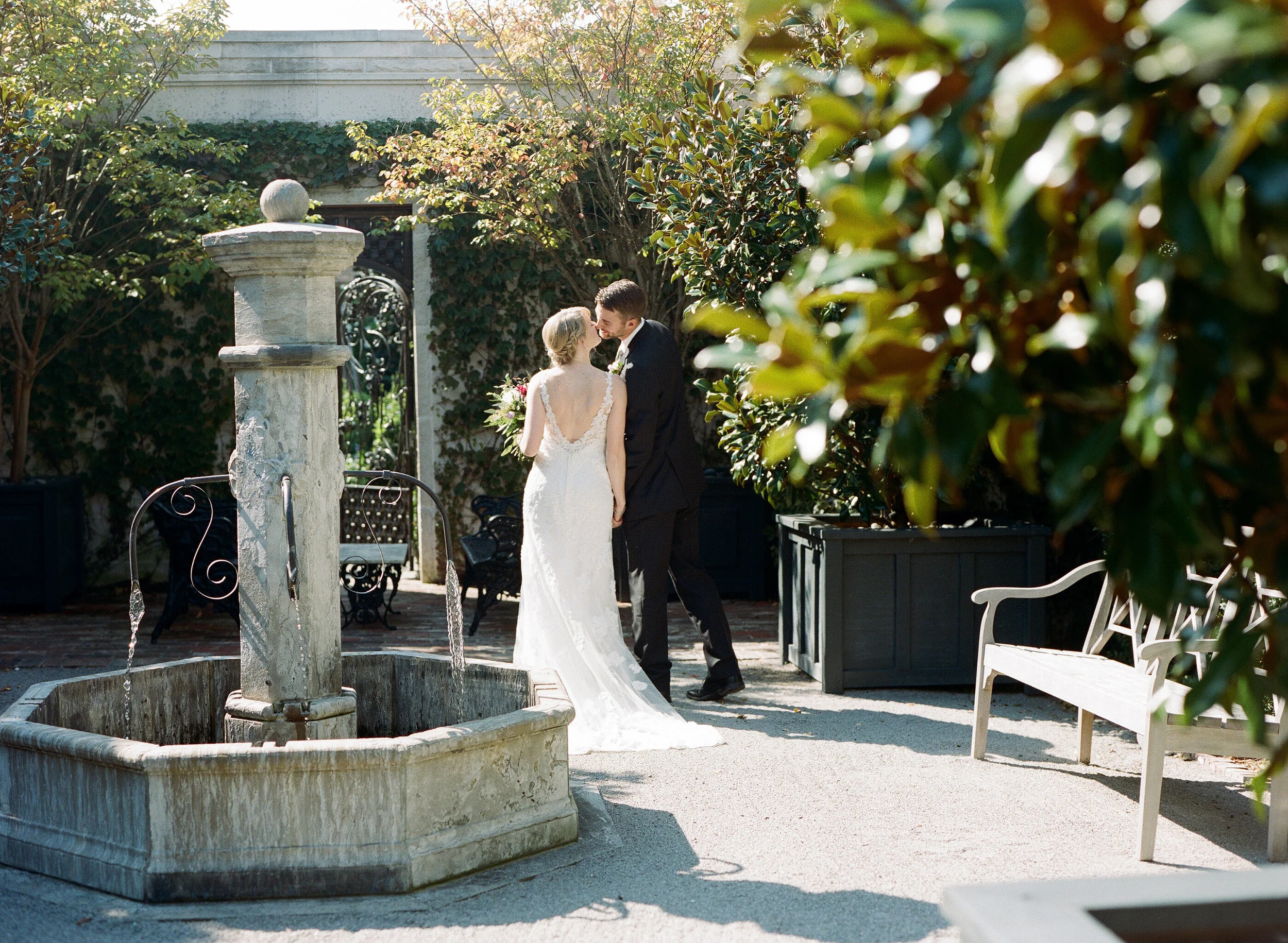 First Look, Family Dance, and The Apiary