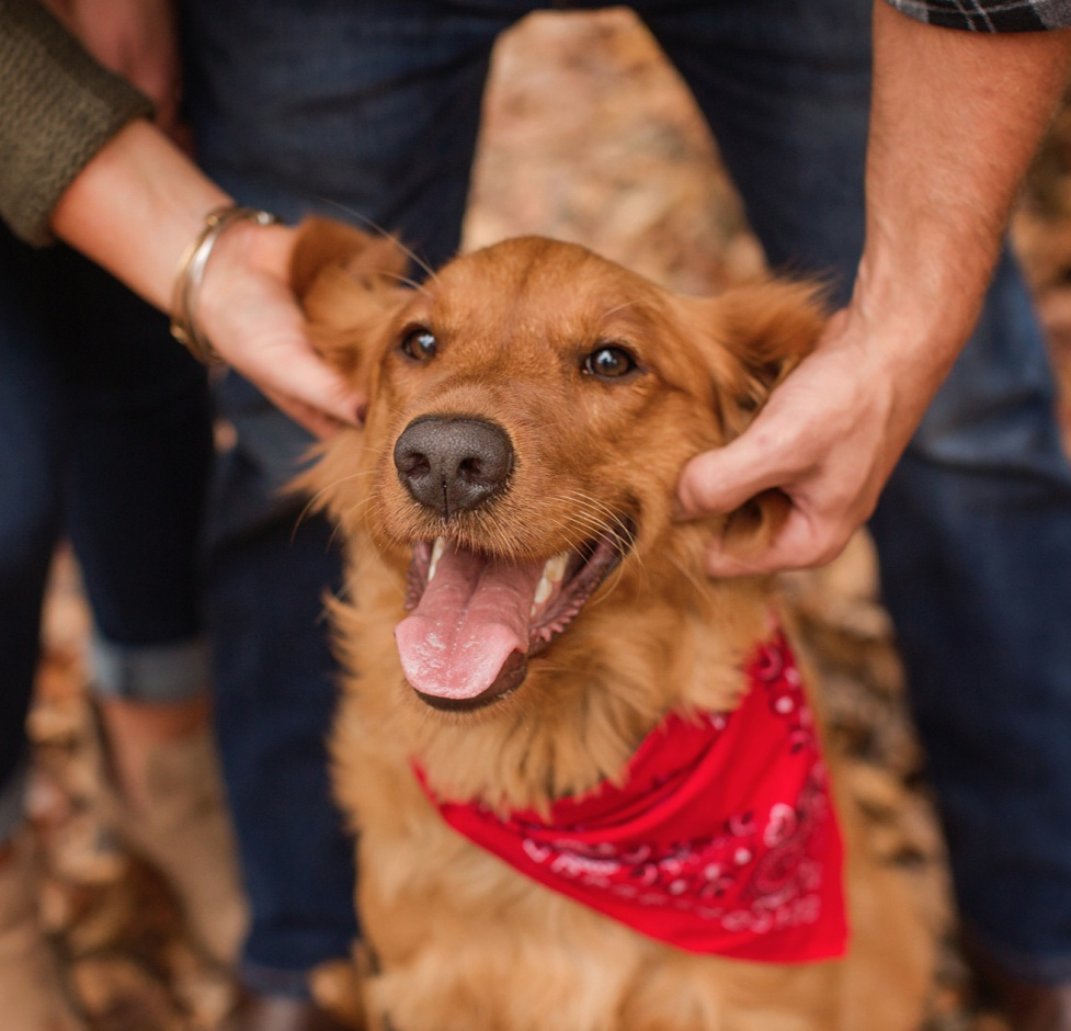 Samantha and Nick Engagement