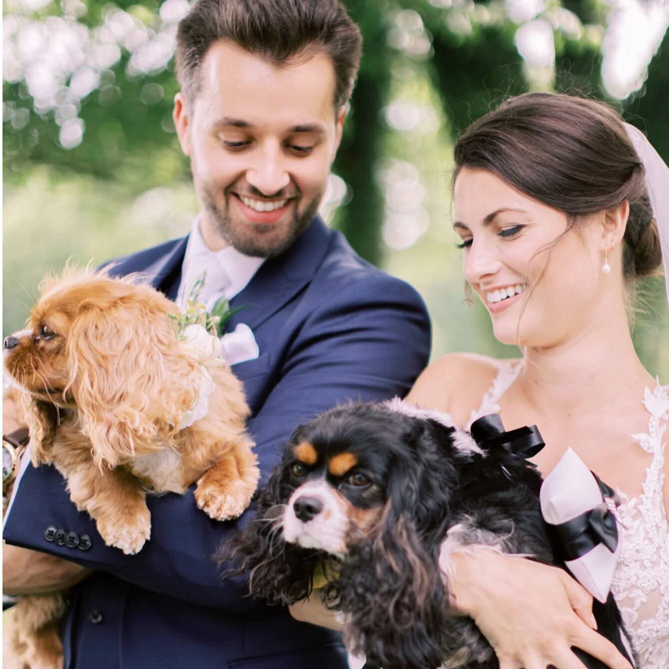                                      Kathleen + Michael's Franklin Wedding