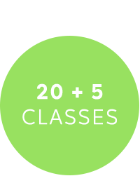 20_5_classes.png