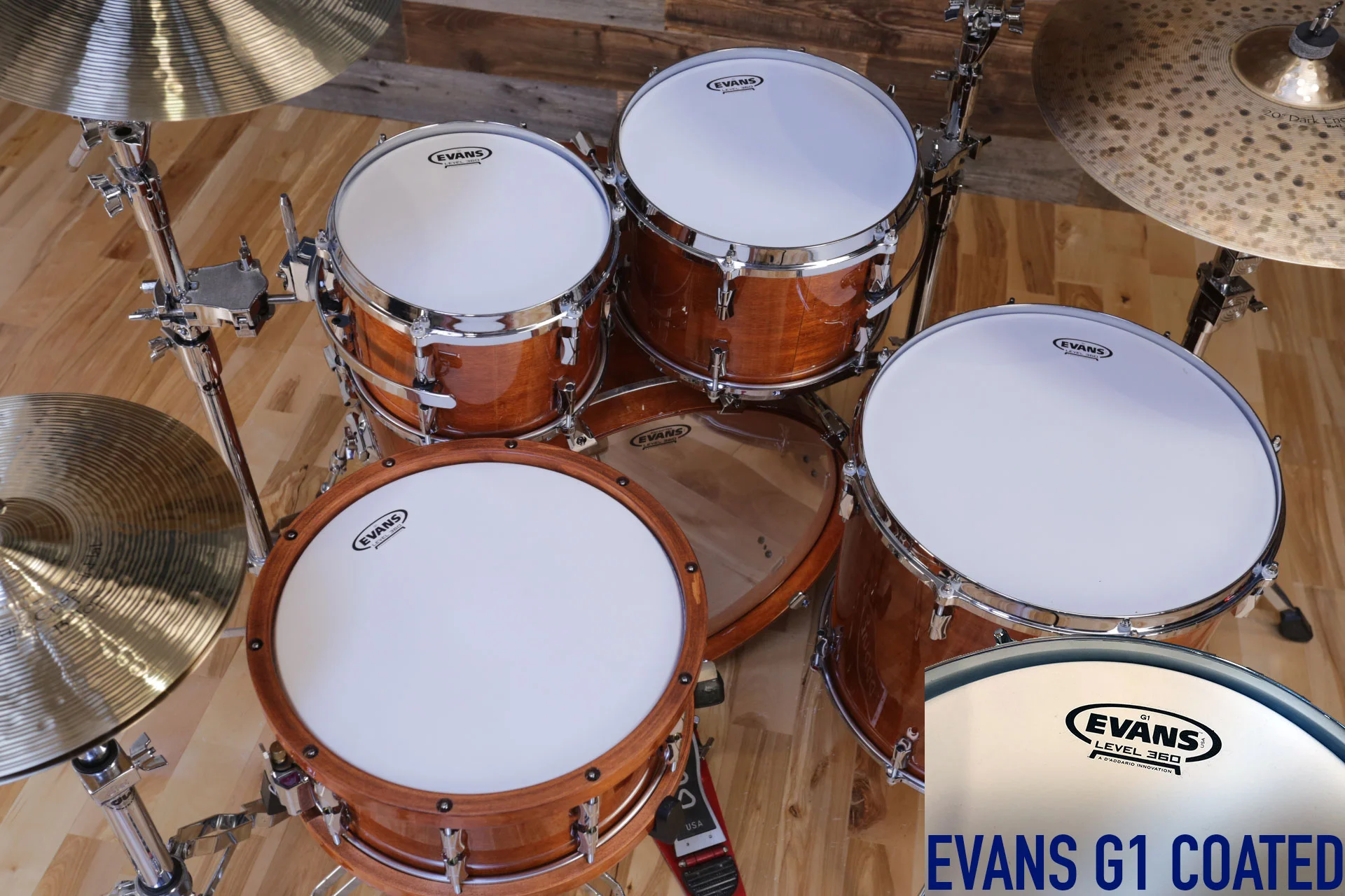 EVANS-LEVEL-360-G1-COATED-DRUM-HEAD-COPYRIGHT-DRUMAZON_01.jpg