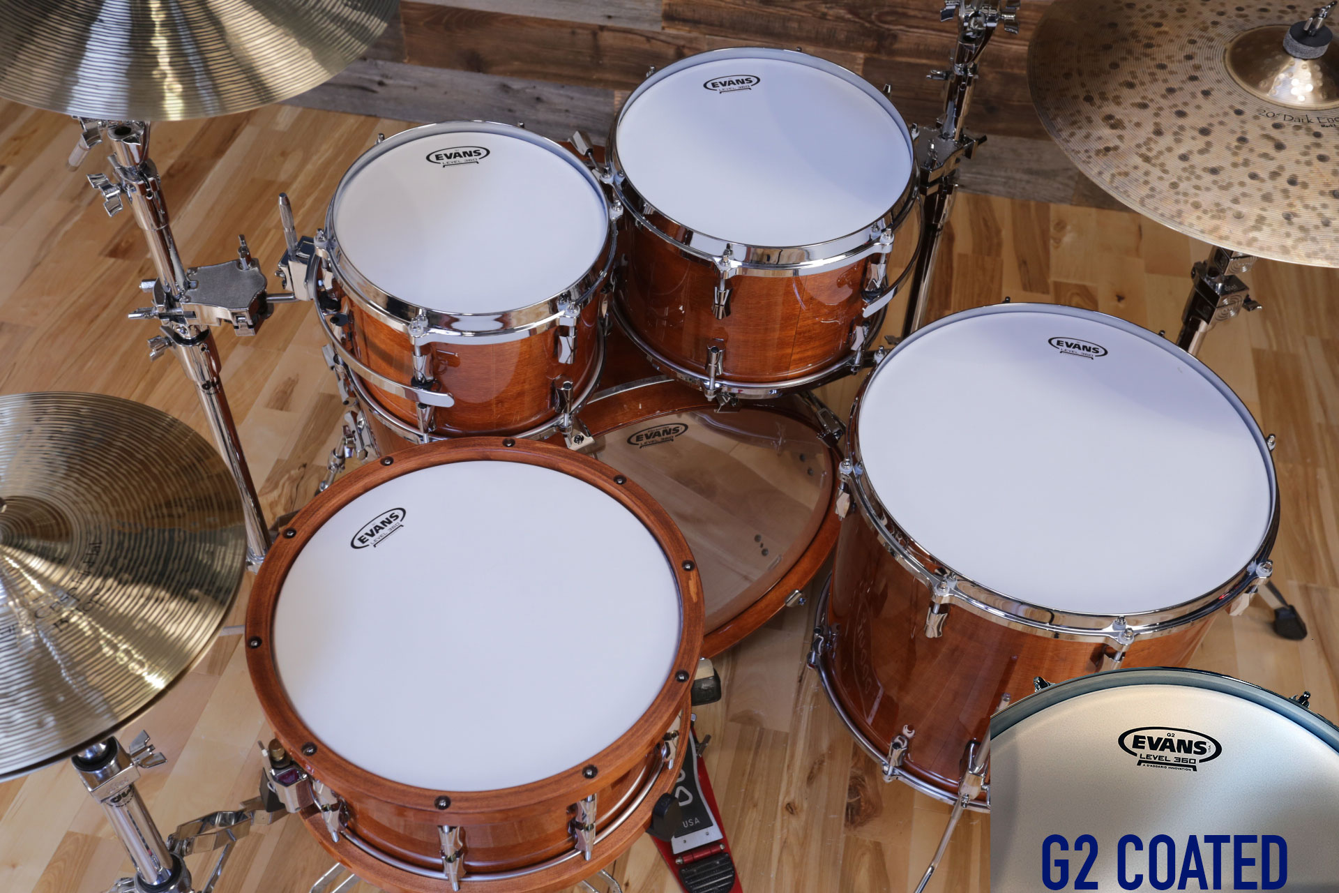 EVANS-LEVEL-360-G2-COATED-DRUM-HEAD-COPYRIGHT-DRUMAZON_01.jpg