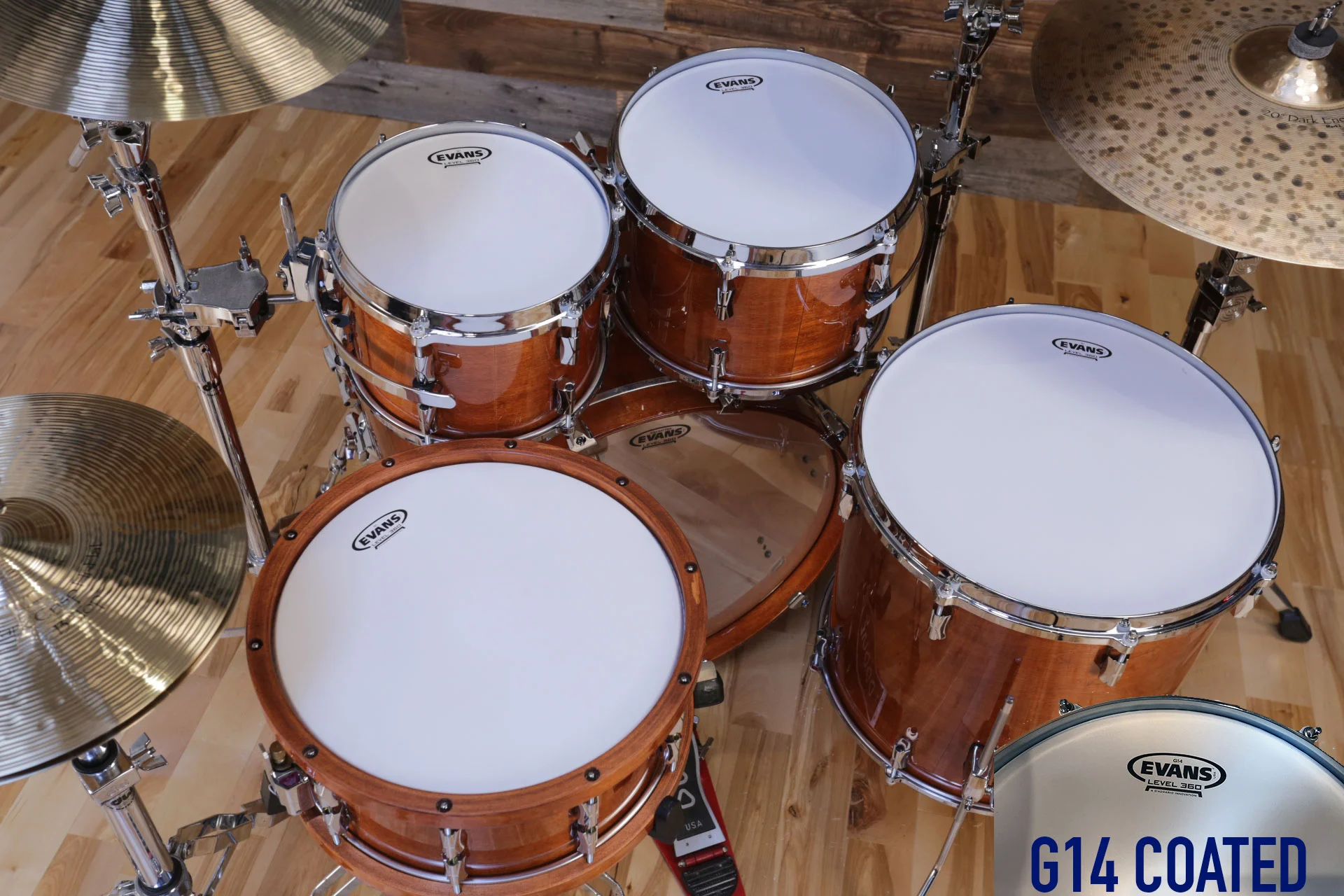 EVANS-LEVEL-360-G14-COATED-DRUM-HEAD-COPYRIGHT-DRUMAZON_01.jpg