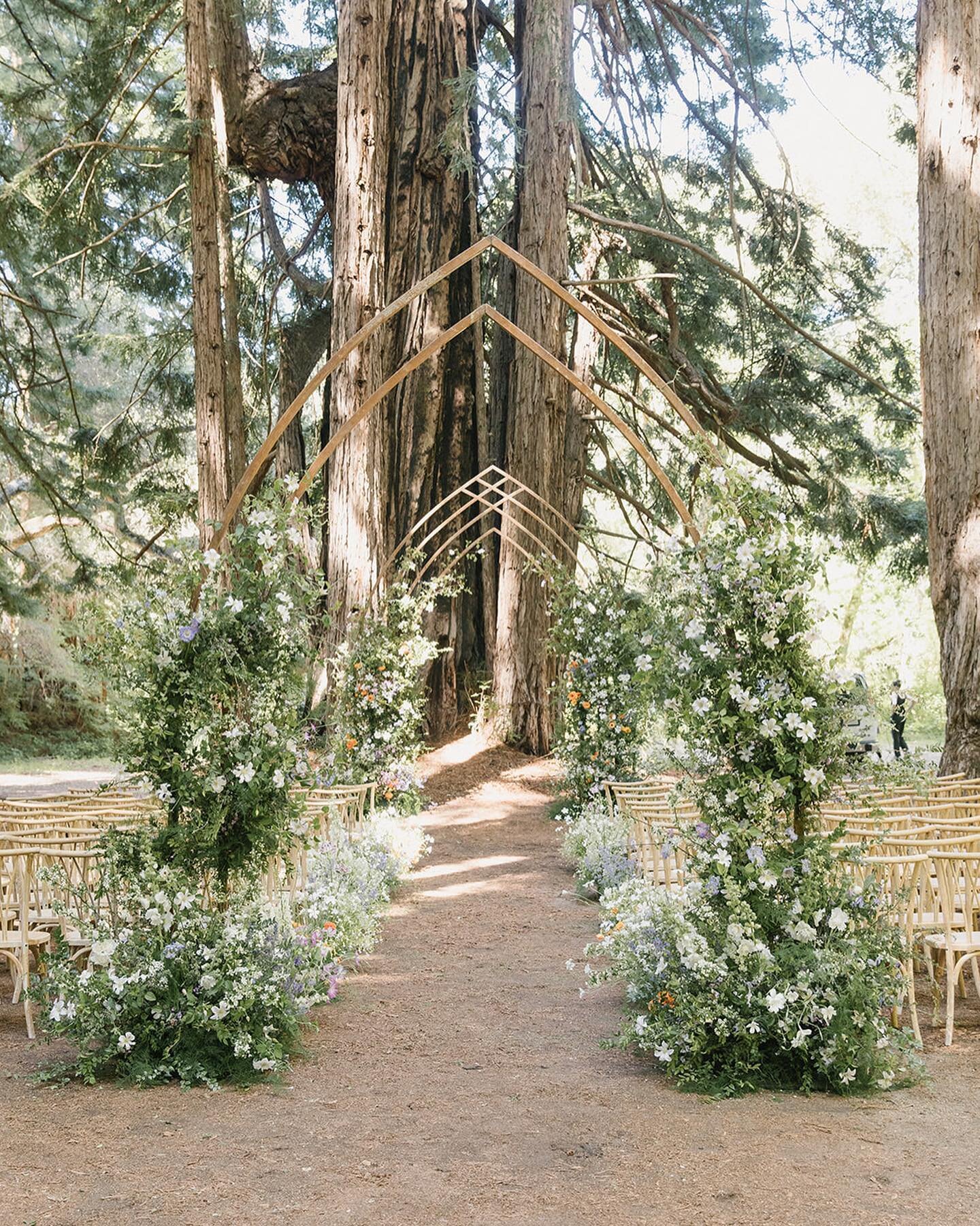 Dramatic arches in the redwood grove and delicate wildflower-like blooms for C and F&rsquo;s wedding last spring.