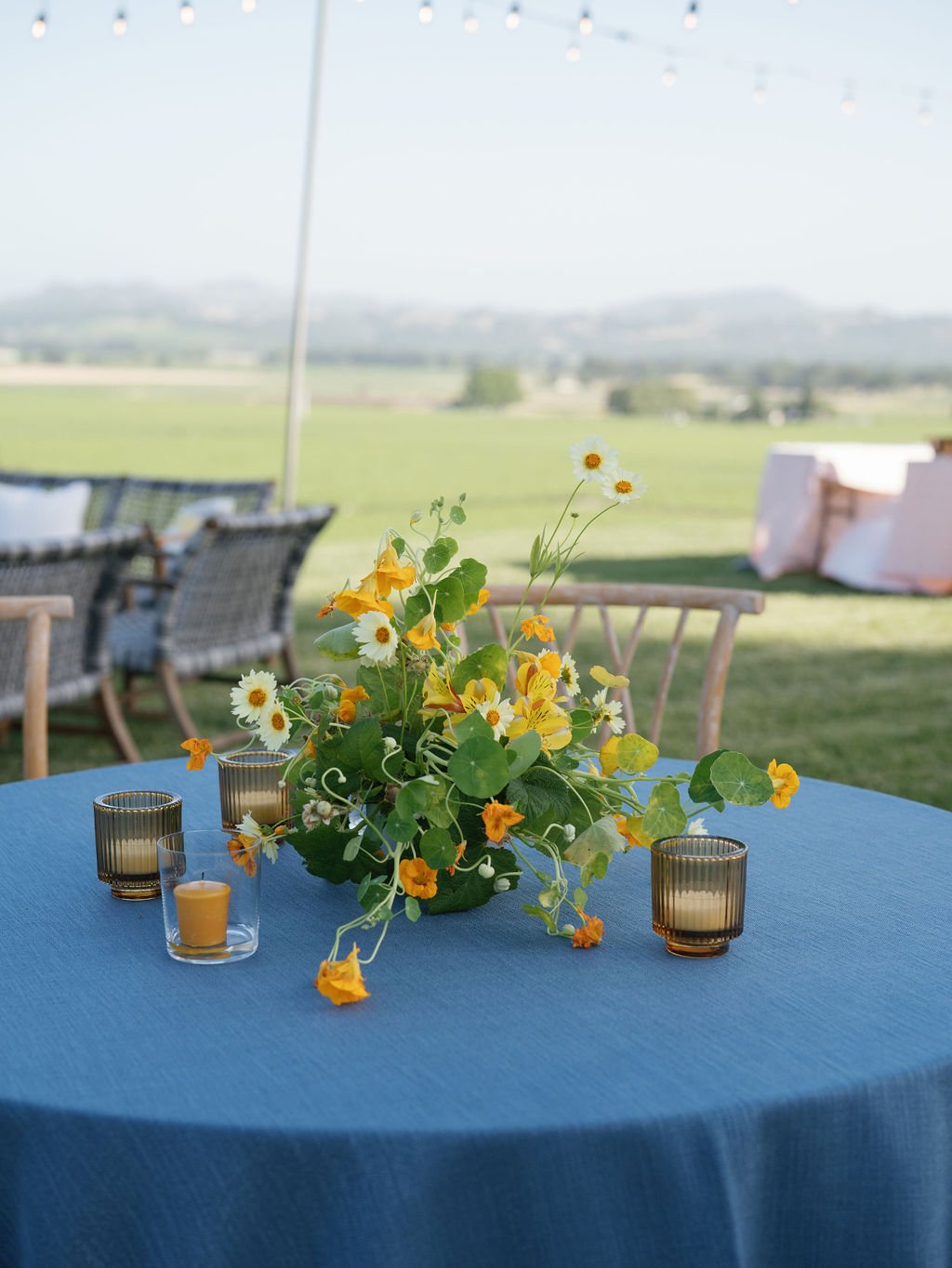 AnyaKernes—Stephanie&ConnorWelcomeParty-64.jpg