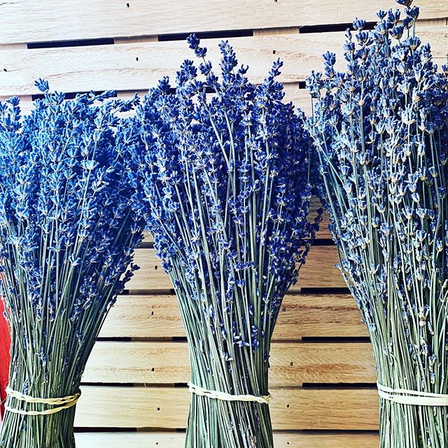 Farm fresh lavender just arrived. #micumbia
.
.
.
#myhappyplace #bestofphilly #visitphilly #whyIlovephilly #nails #manicure #style #instagood #beauty #beautiful #spa #philly #philadelphiastyle #phillysbest #nails #mani #girly #waxing #phillywedding #