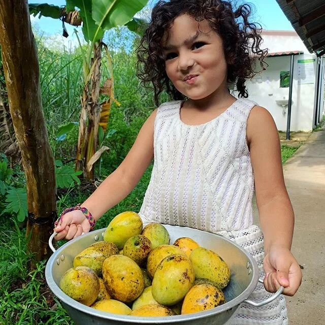 Greetings all Mi Cumbian&rsquo;s! We miss you dearly and look forward to reconnecting soon. Our reopening is coming along and I hope to have updates for you in the next week or two about an official date. 💌 much love!!!! #philadelphia