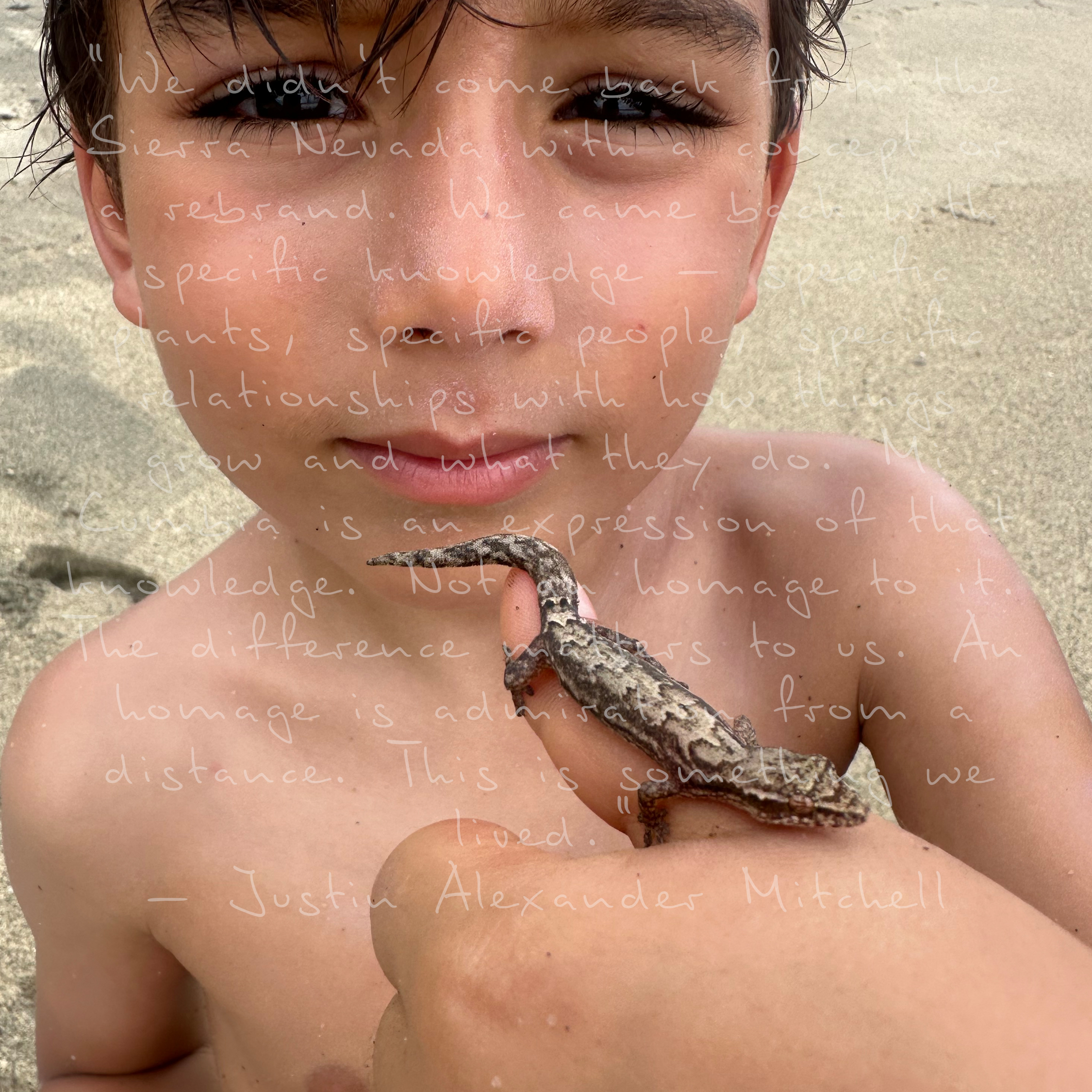 MC_Web_Base-1-5 copy.webp