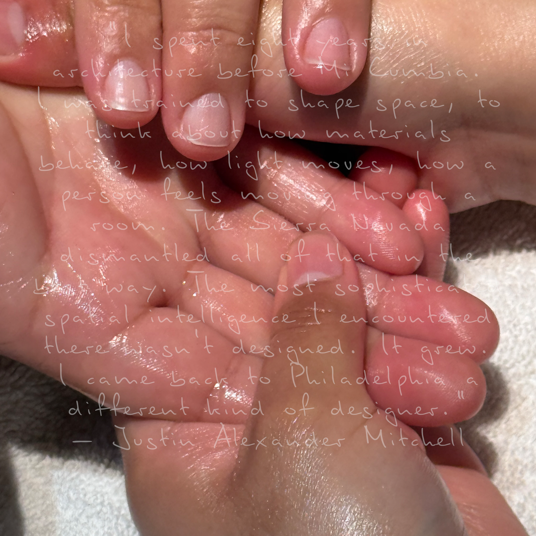 MC_Web_Hand-1.webp