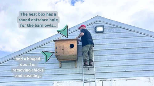 Build Nest Boxes for Maryland's Farmland Raptors — Maryland Bird ...