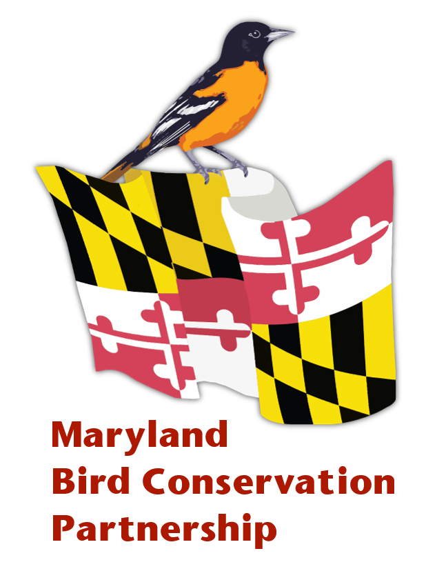 mbcp_logo_words.png