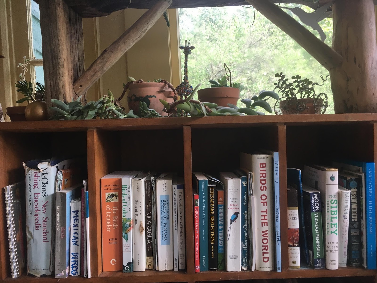 1. Entire bookshelf of bird field guides