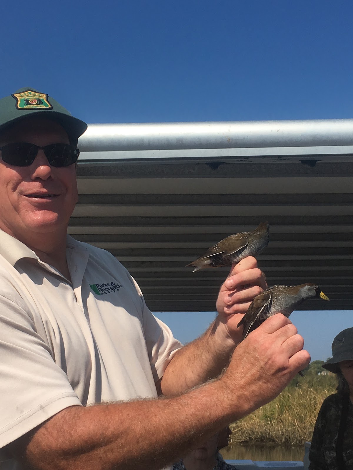 The Sora Whisperer: The Hunt for the Elusive Sora Rail