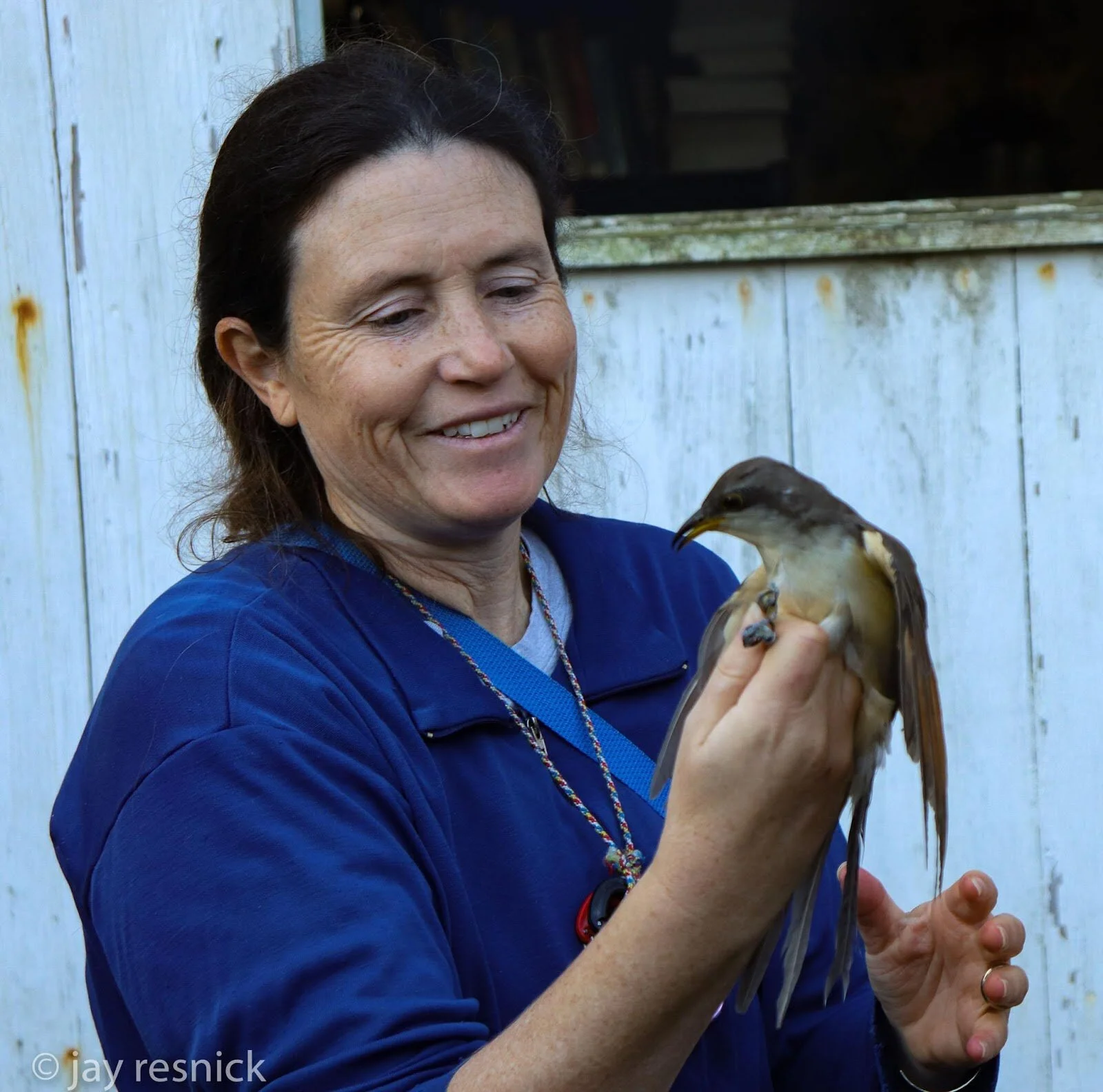 Aerobic Birding With Maren Gimpel Maryland Bird Conservation Partnership
