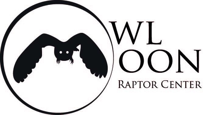 OwlMoon Logo2.jpg