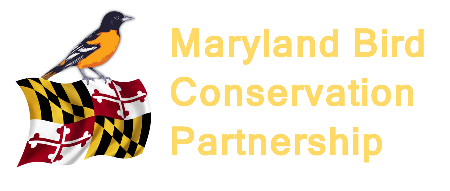 Maryland Bird Conservation Partnership