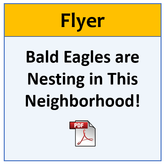 2-BAEA-Eagles in the hood.png