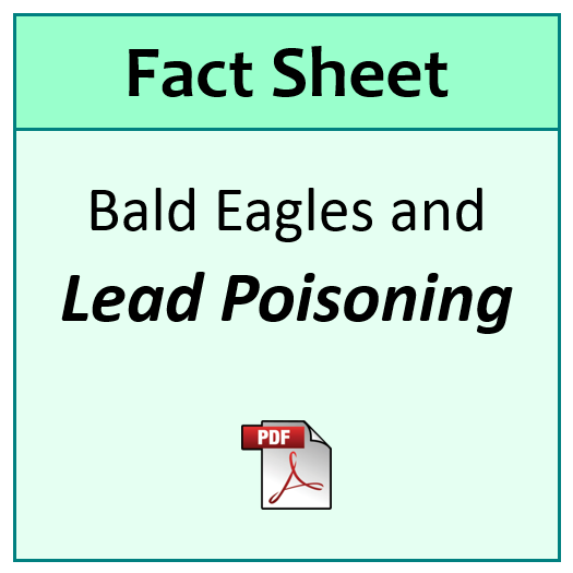 2-BAEA-Lead-Poisoning.png