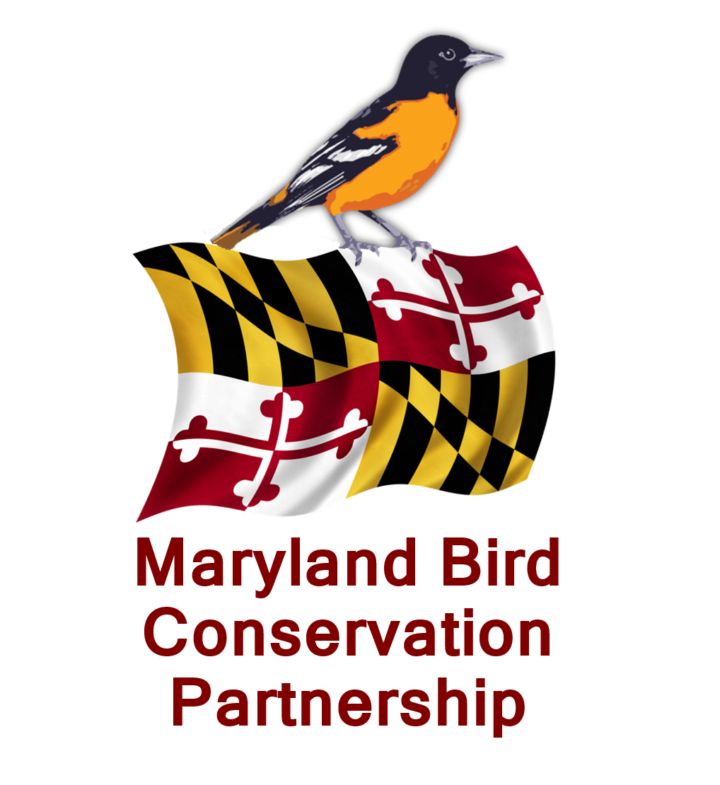 MBCP Welcomes New Members to its Board