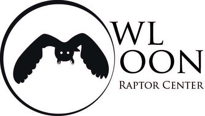 OwlMoon Logo3.jpg