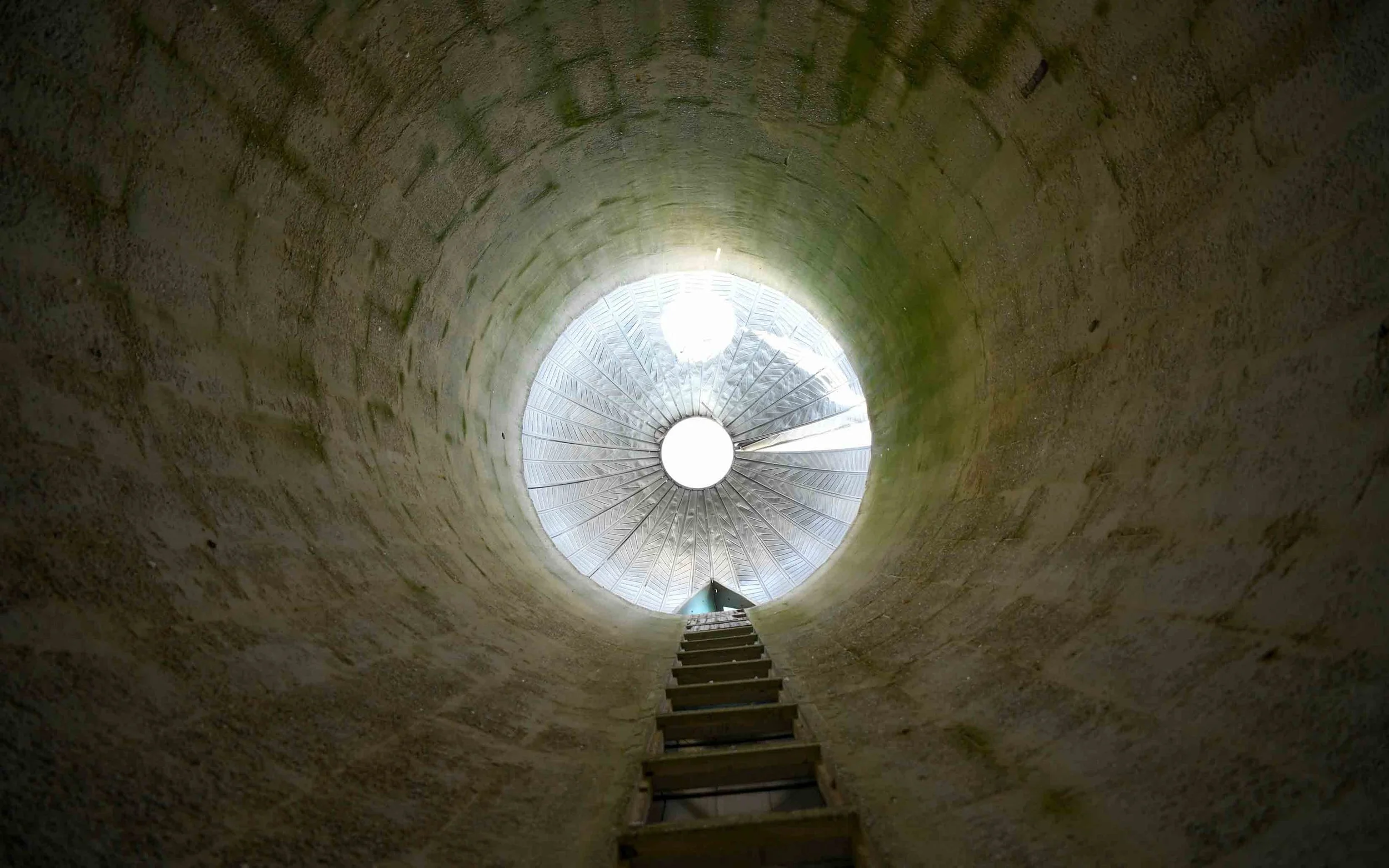 Well, How Did We Get Here?