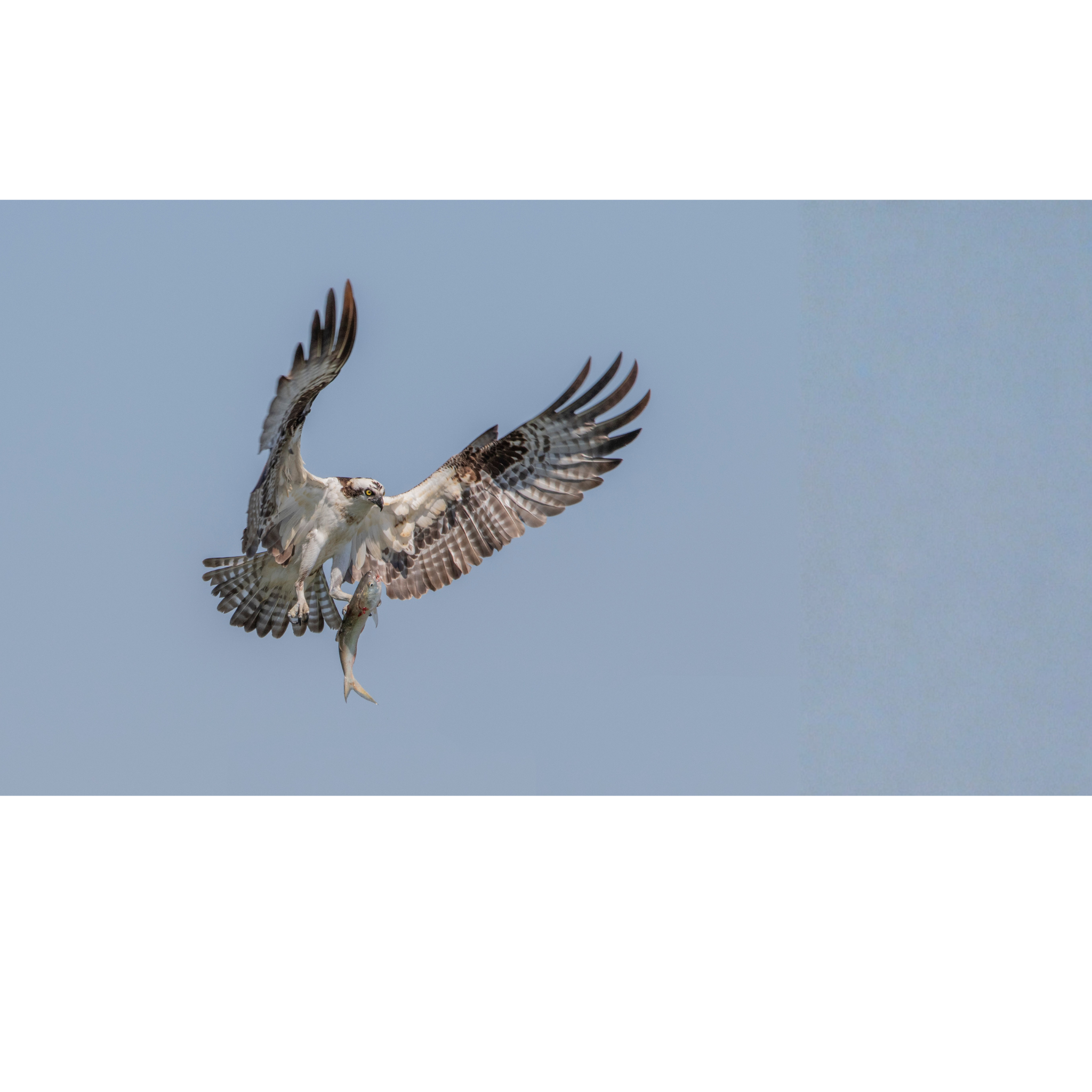 Small Towns, Soaring Impact