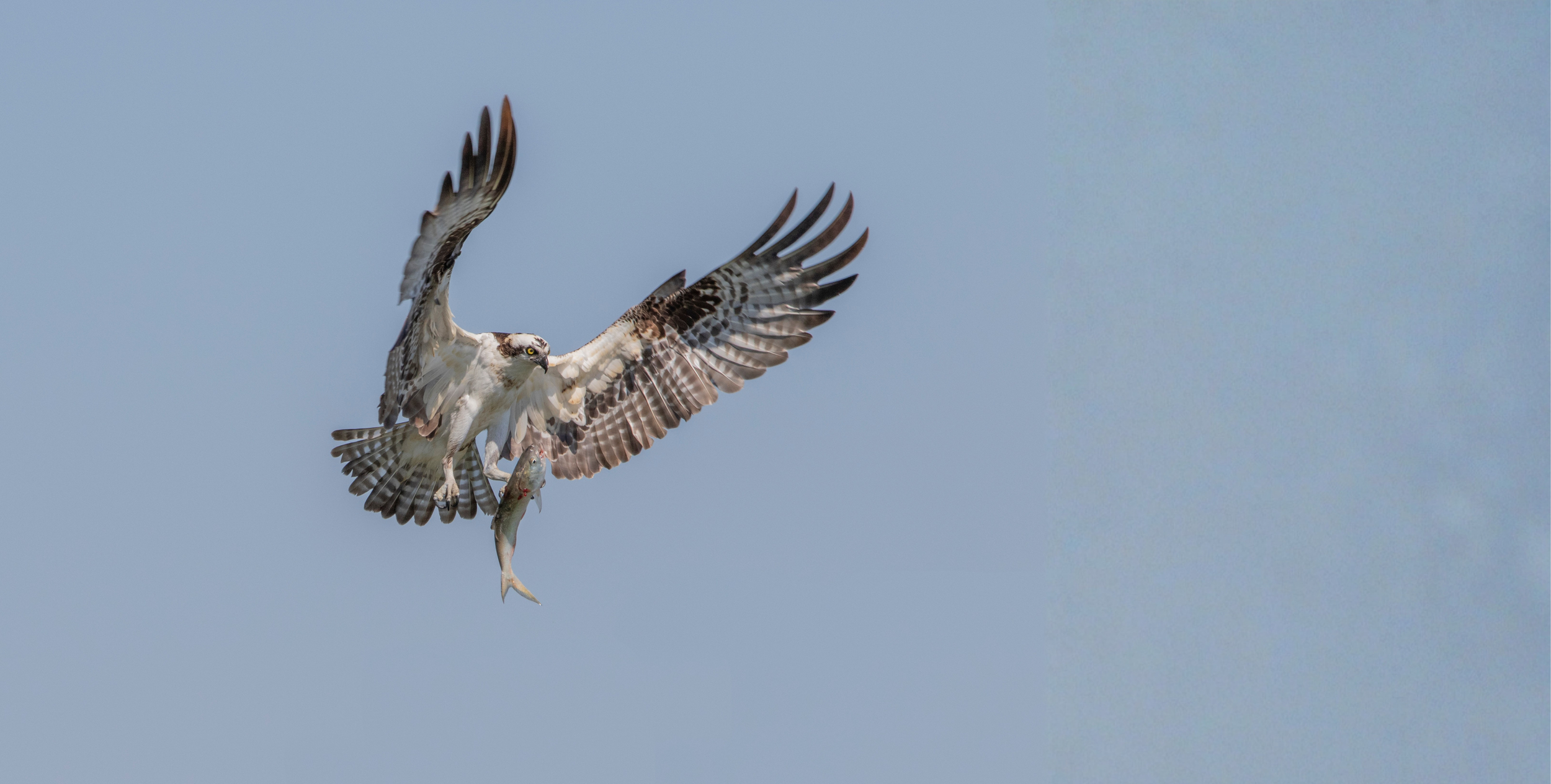 Small Towns, Soaring Impact