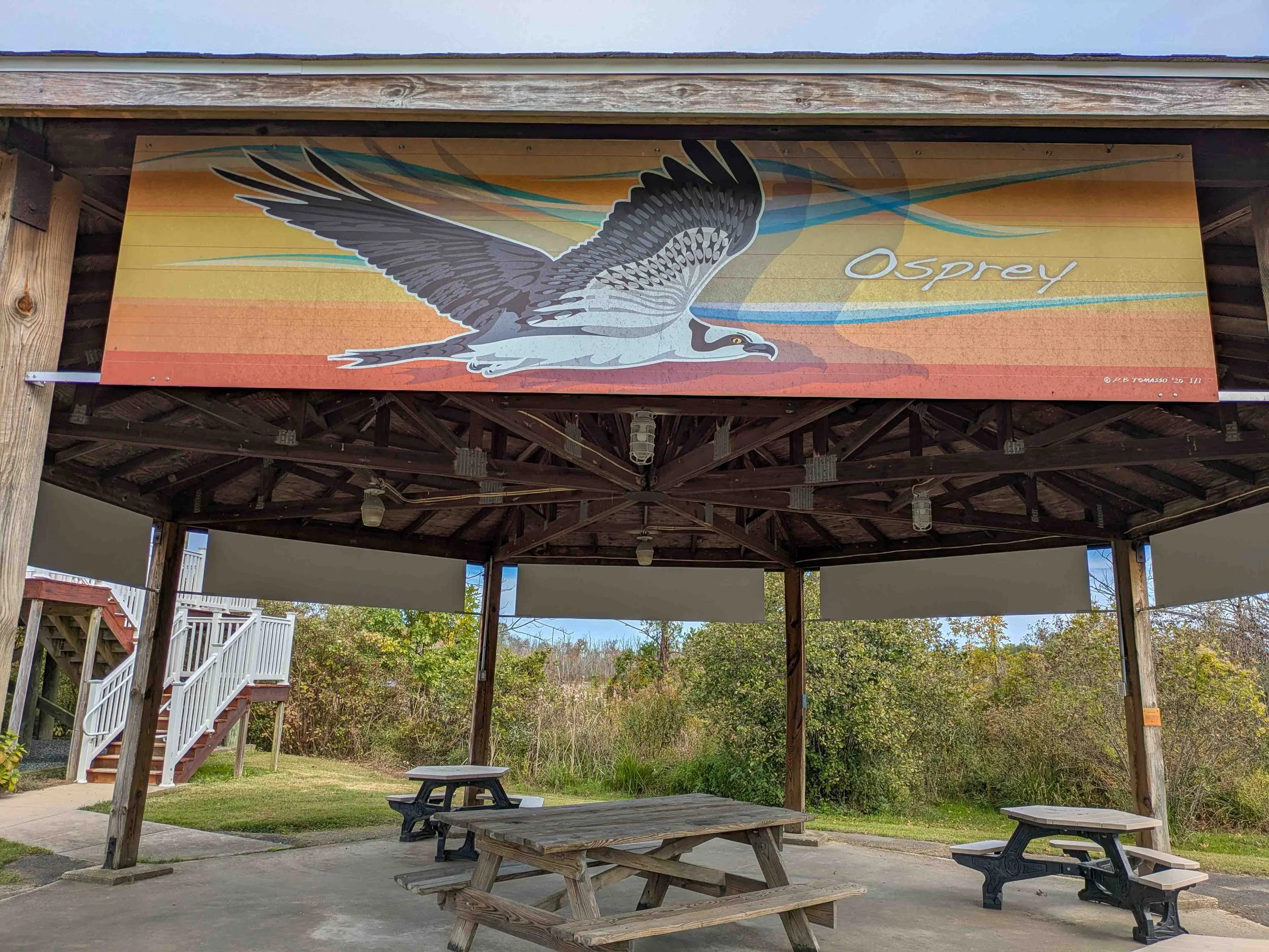 Denton: Maryland’s Newest “High Flyer” Bird City