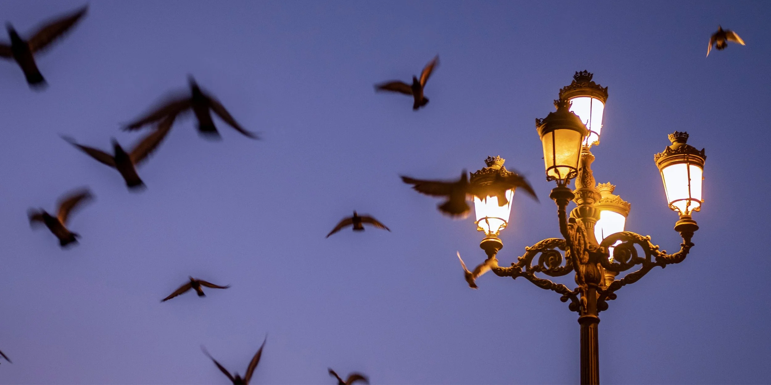 International Dark Sky Week